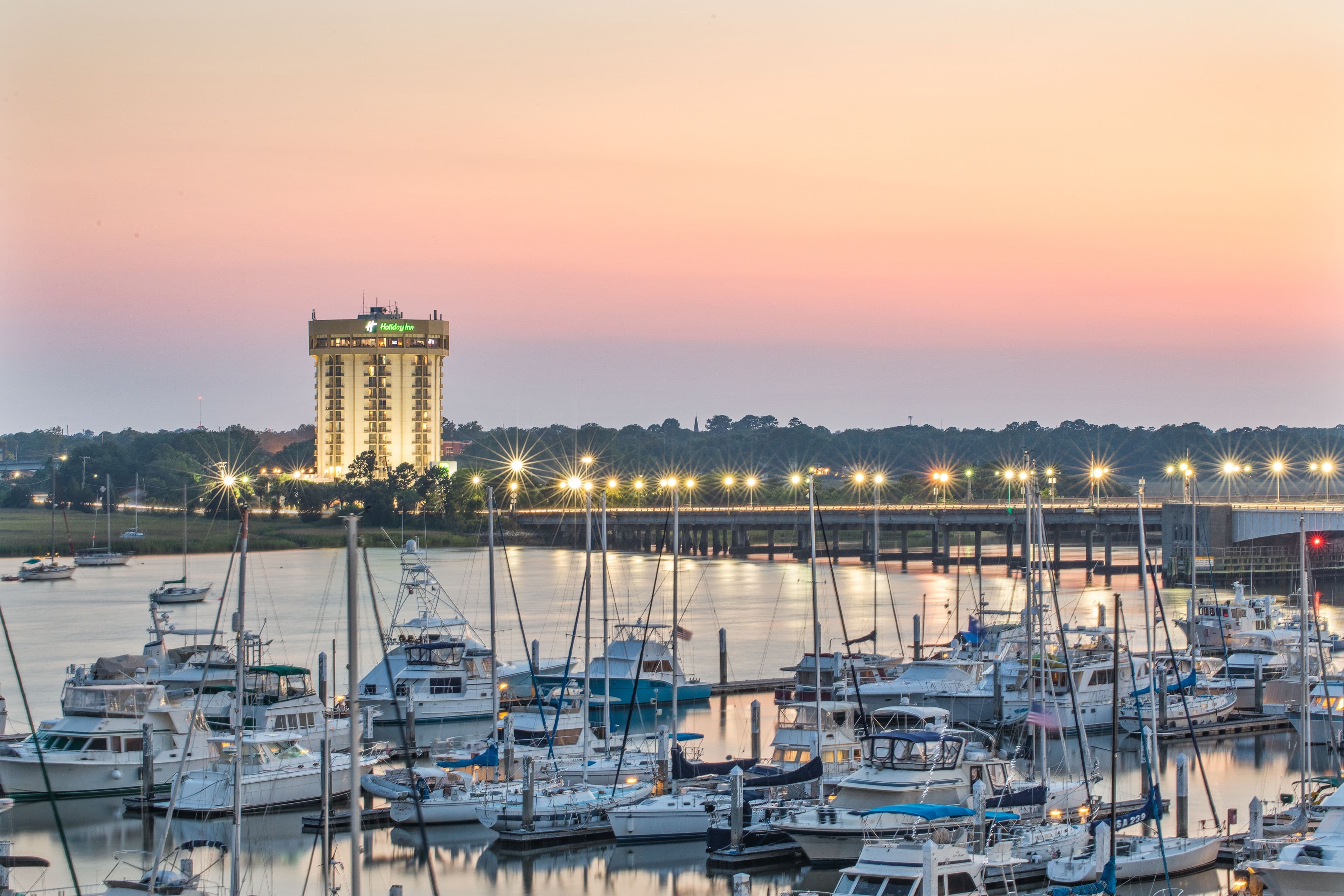 Holiday Inn Charleston-Riverview - Image 1