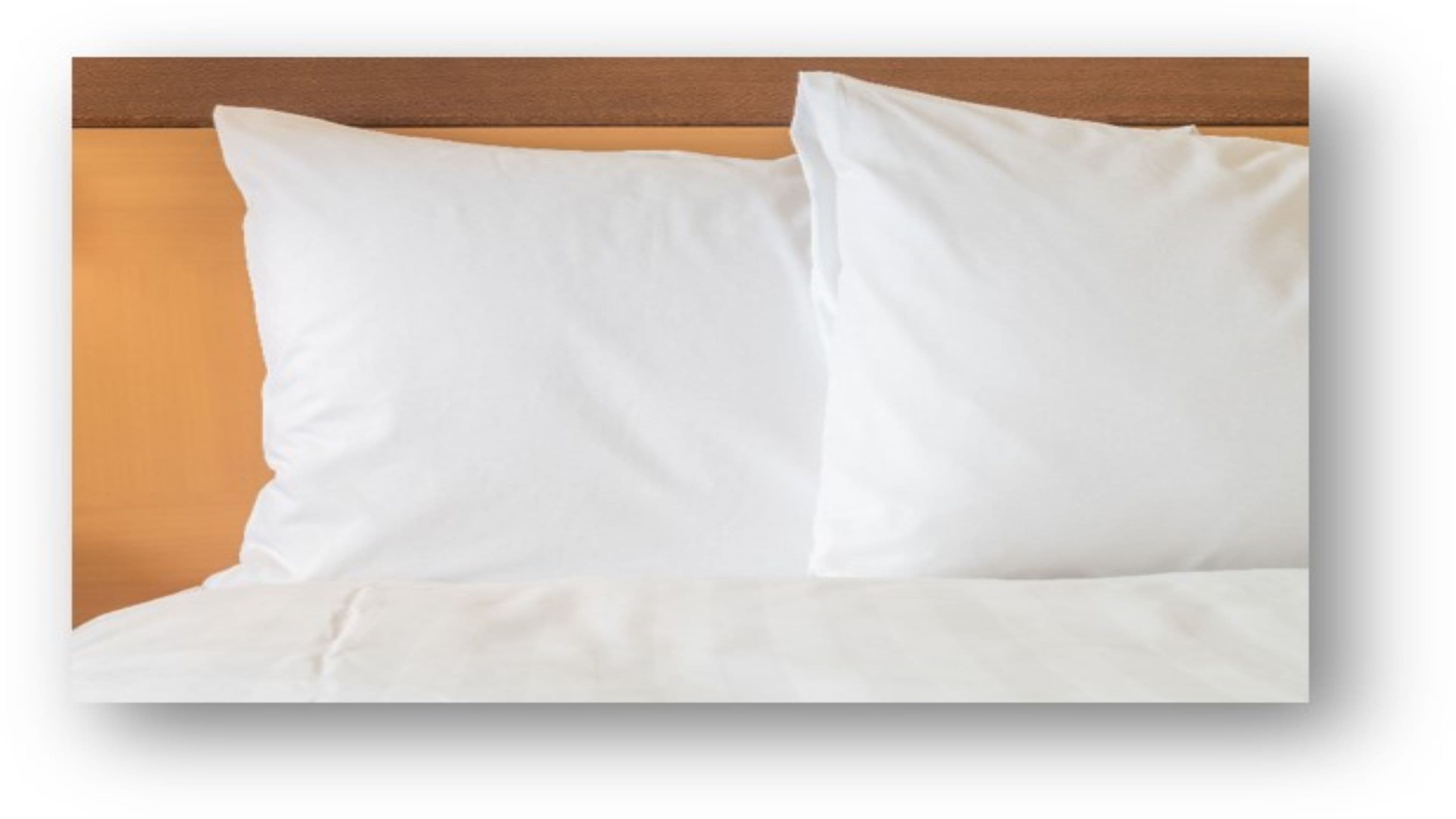 Holiday Inn Charleston-Riverview - Image 2