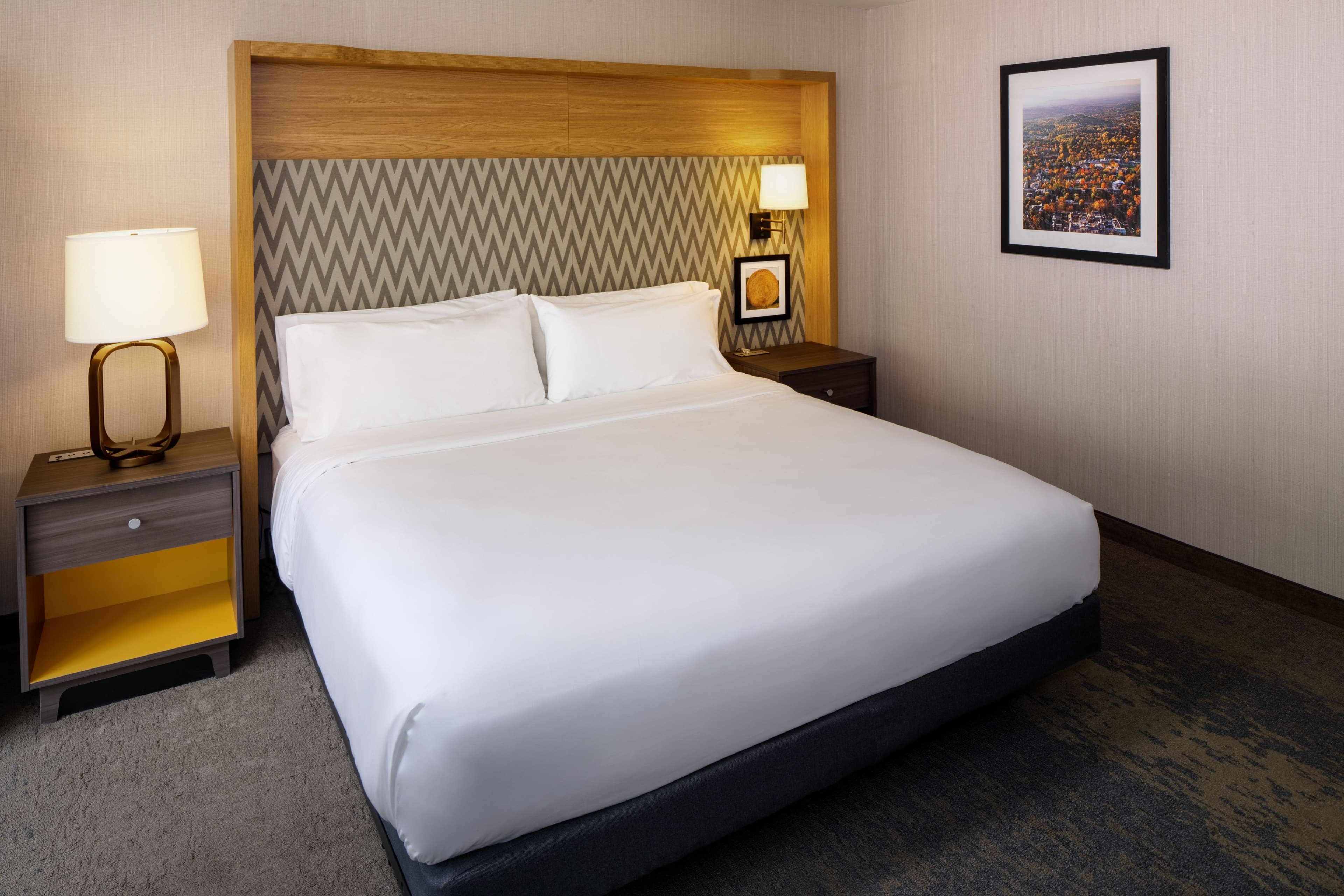 Holiday Inn Charlottesville-Monticello - Image 2