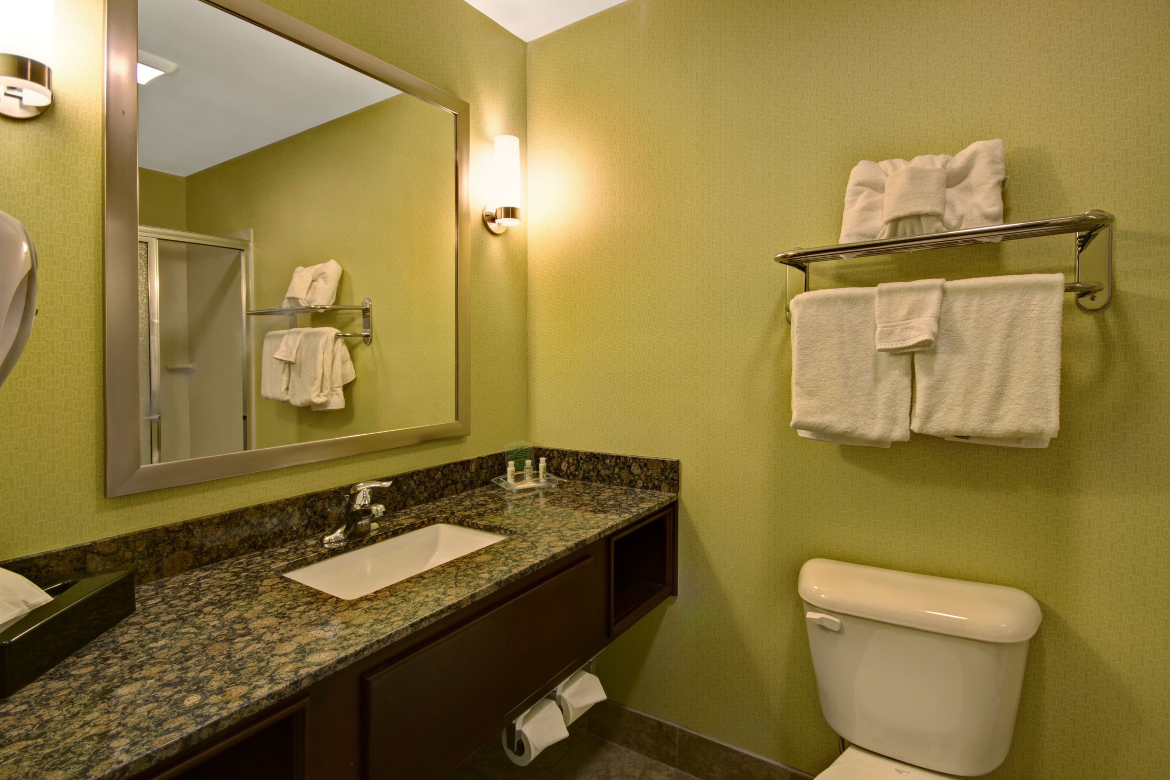 Holiday Inn Christiansburg Blacksburg - Image 2