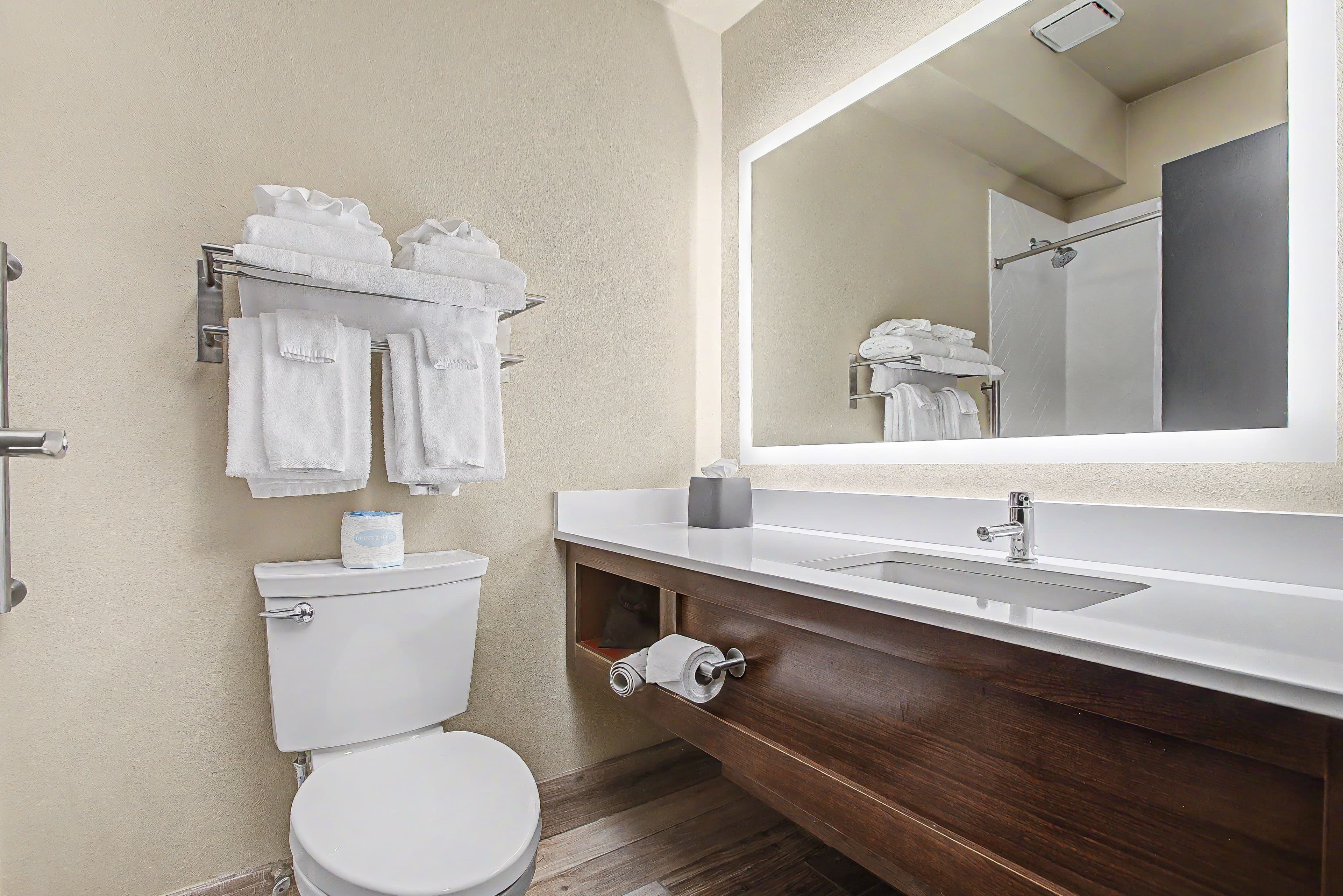Holiday Inn Clarkston - Lewiston — 7
