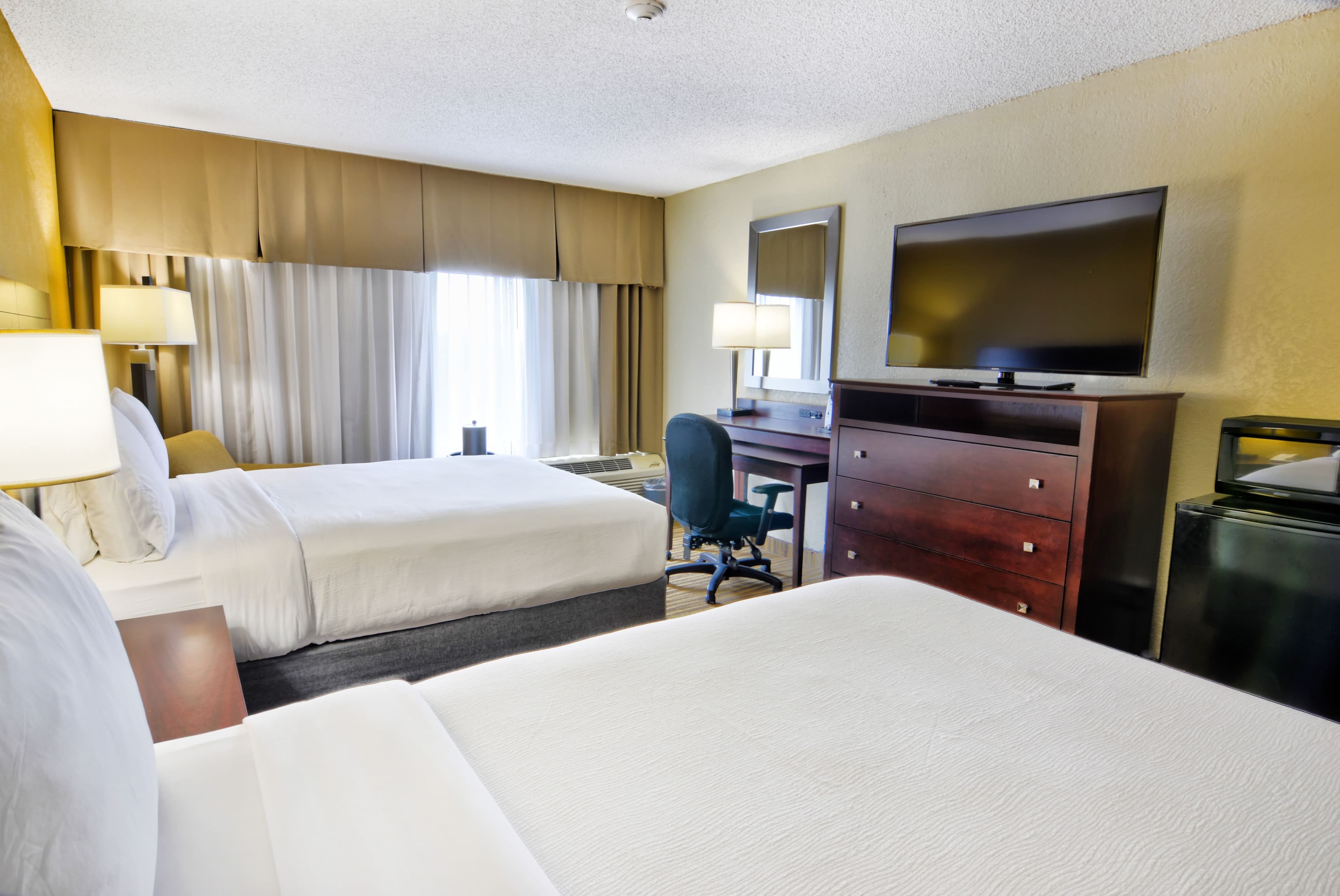 Holiday Inn St. Petersburg N- Clearwater - Image 5