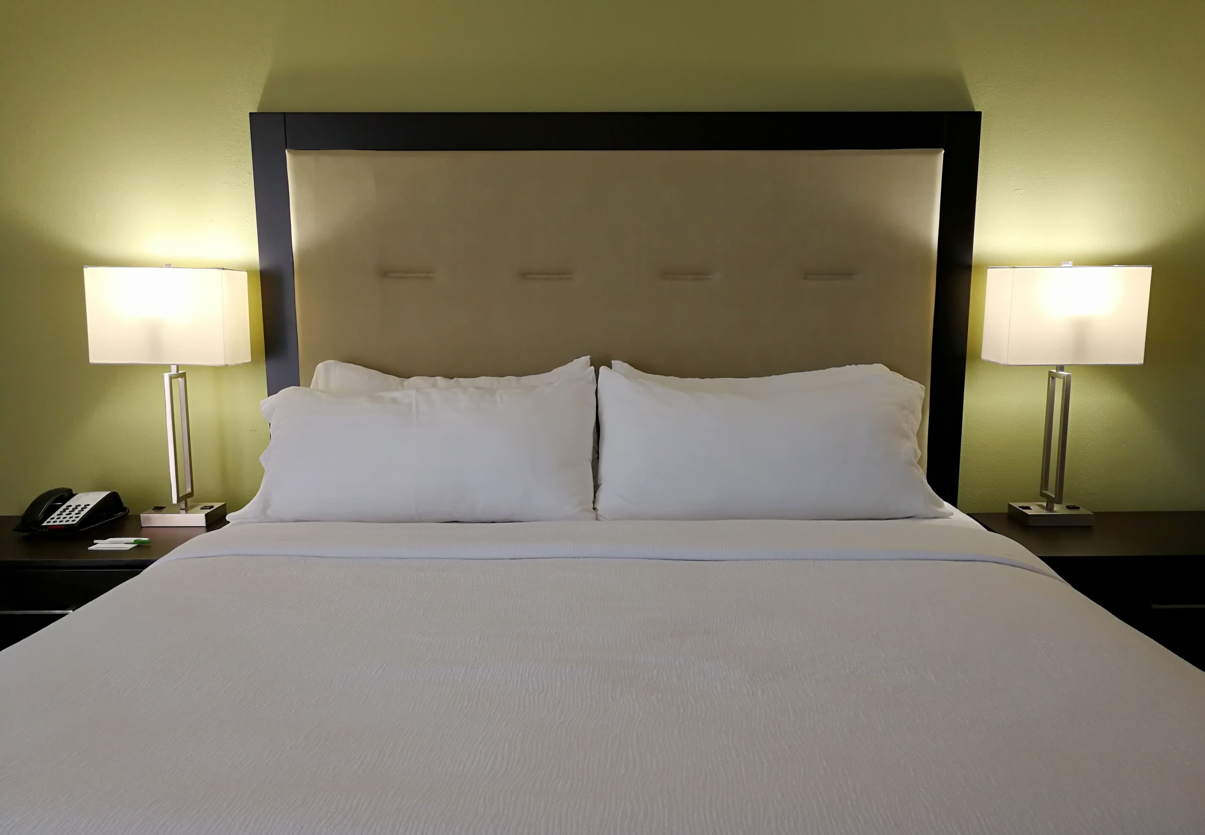 Holiday Inn Corpus Christi Downtown Marina — 8