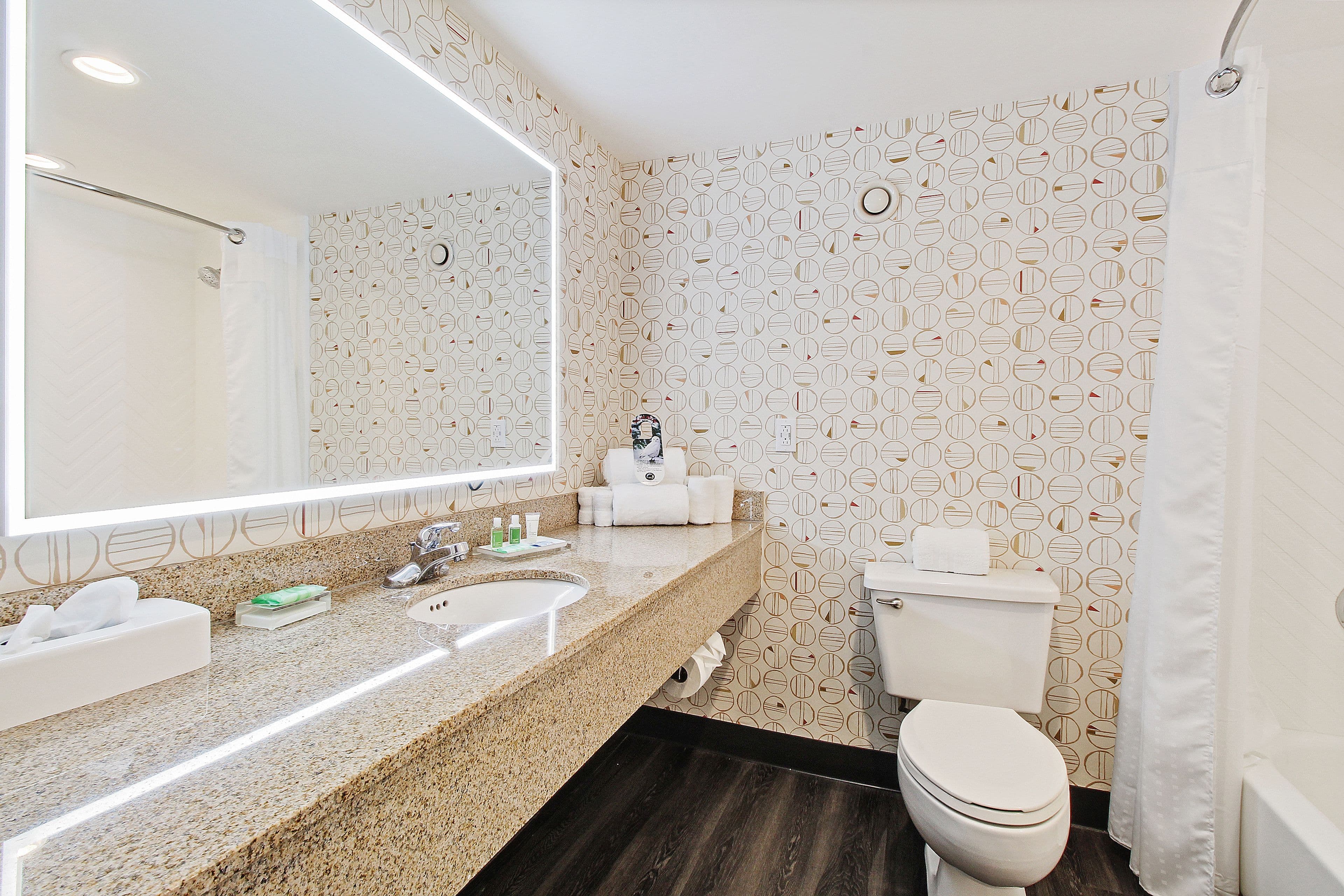Holiday Inn Chicago Nw Crystal Lk Conv Ctr - Image 4
