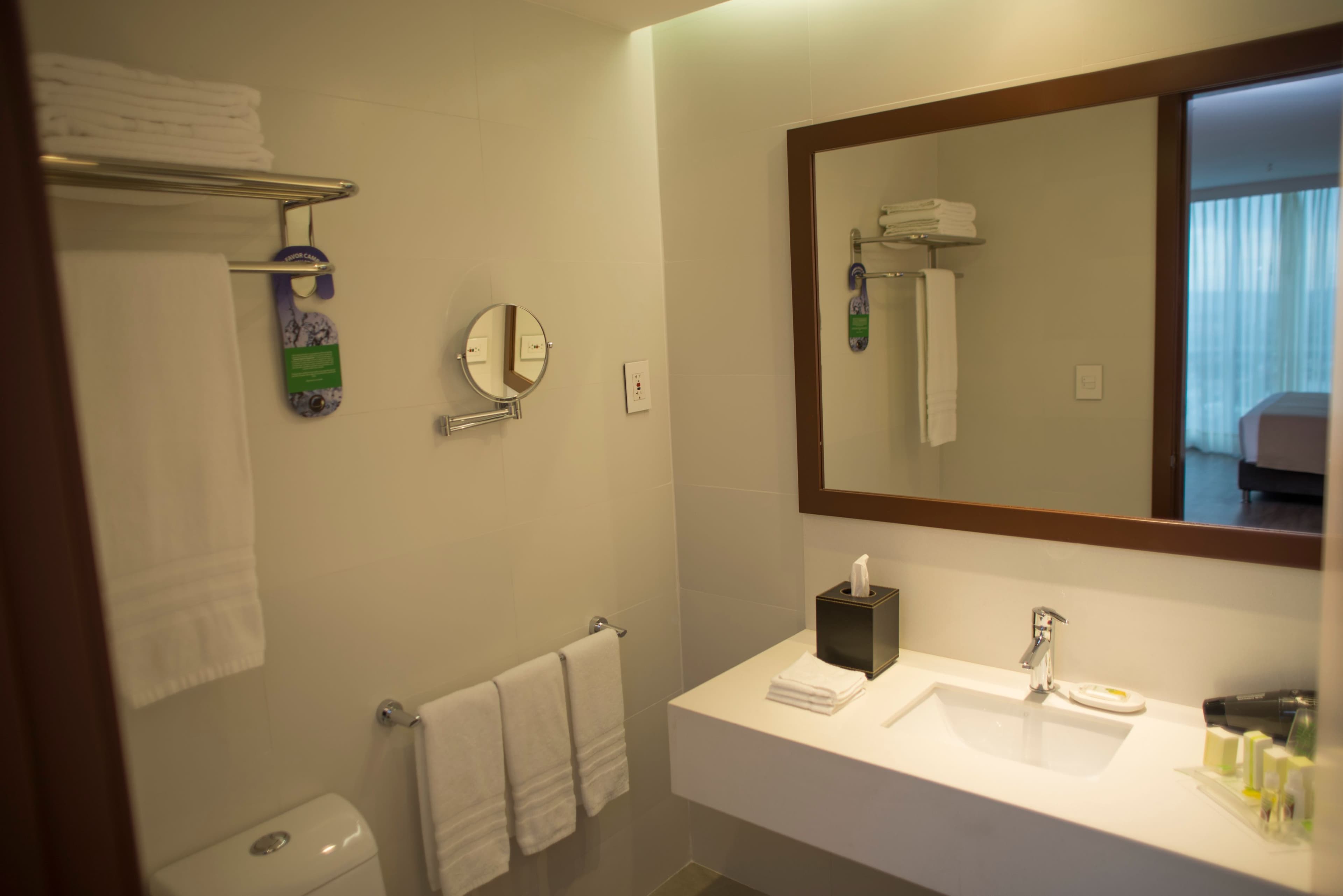 Holiday Inn Cucuta - Image 4