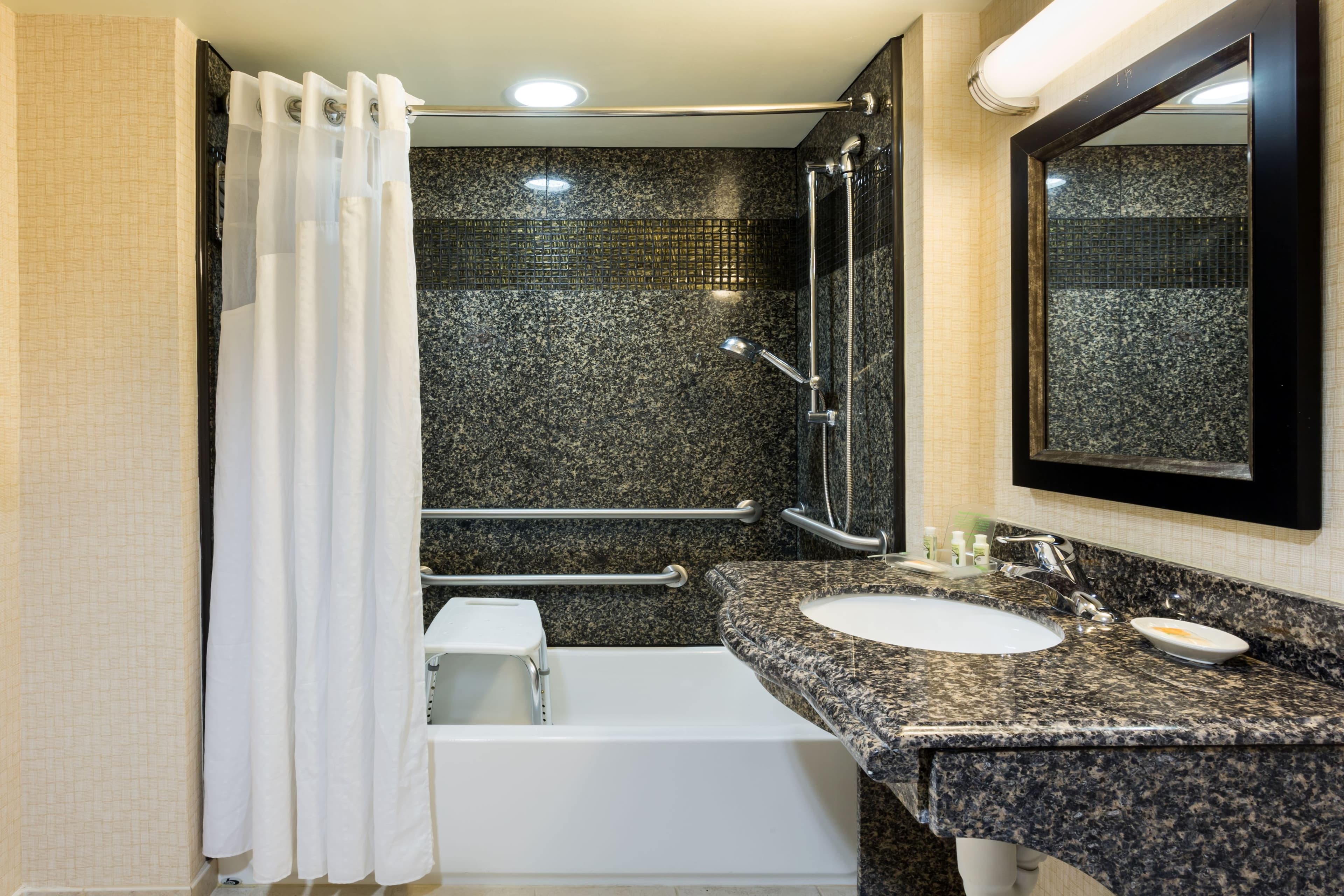 Holiday Inn Daytona Beach LPGA BLVD — 8