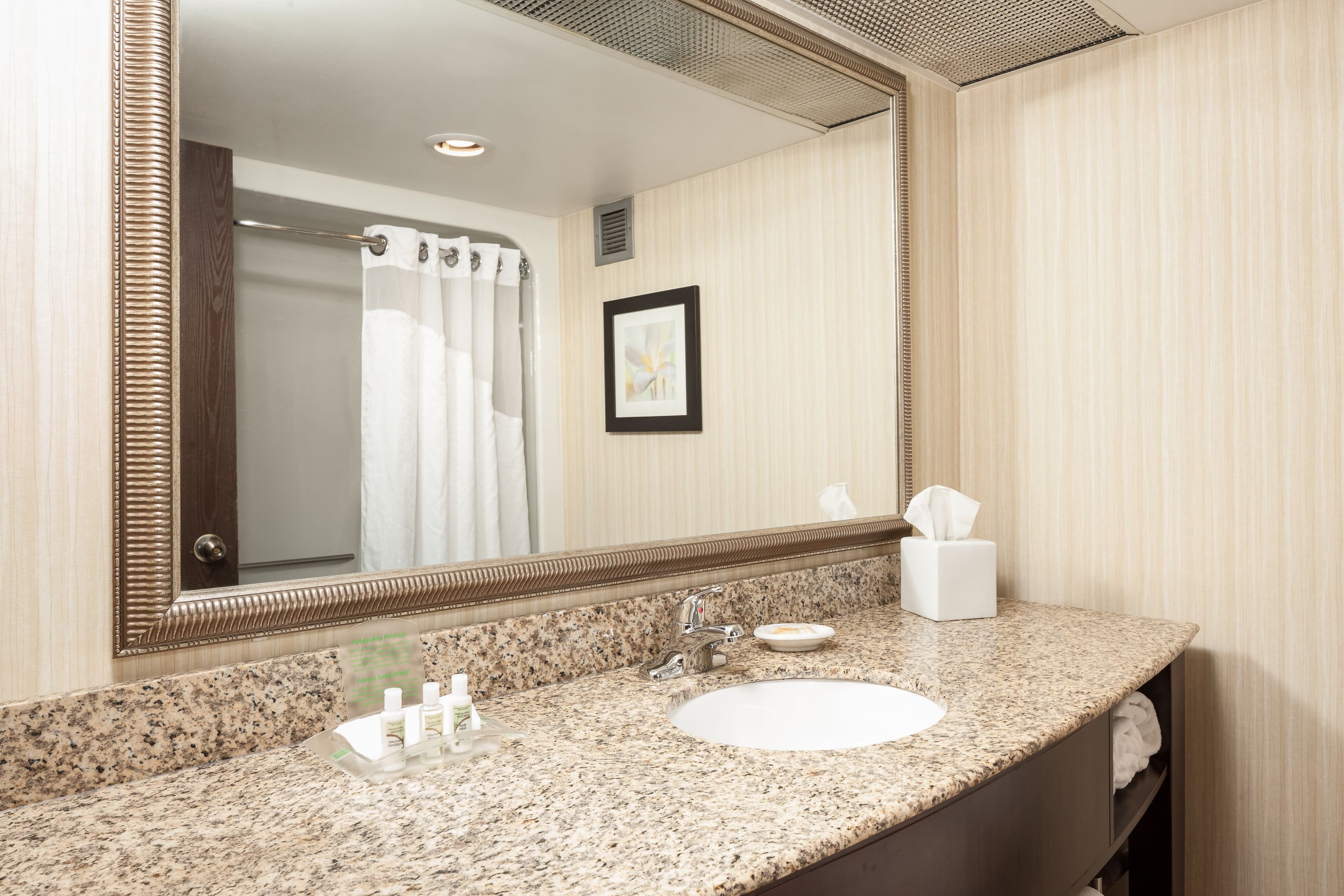 Holiday Inn Dubuque/Galena — 7