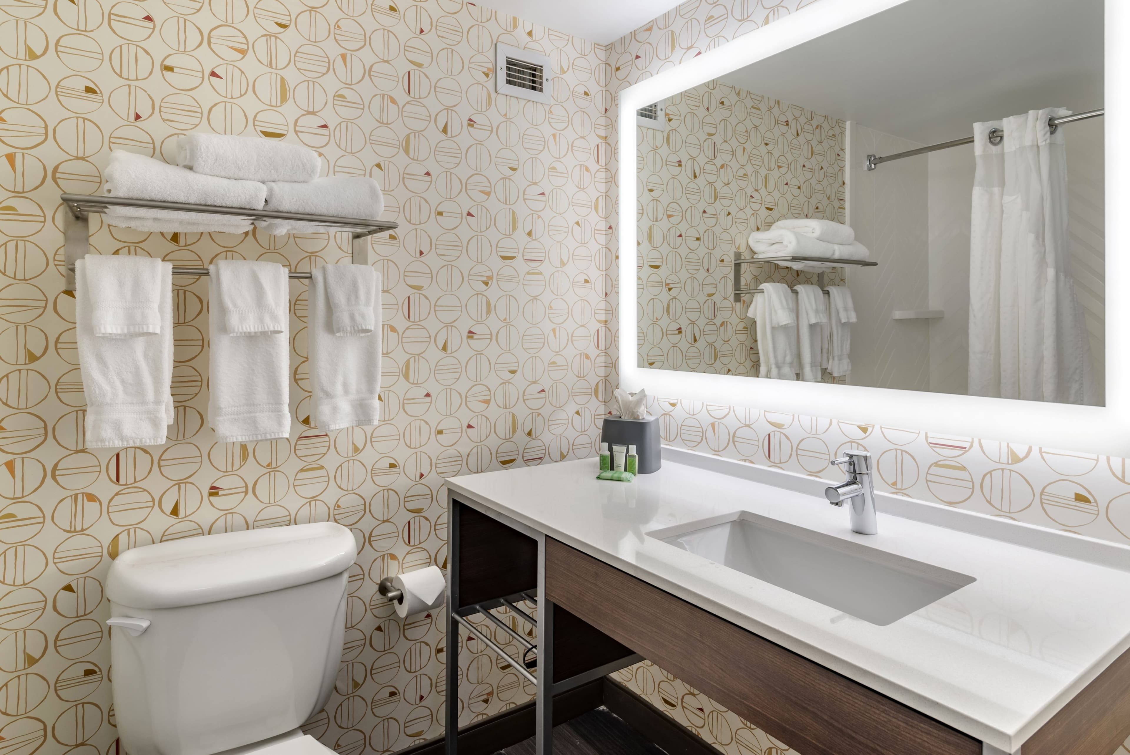 Holiday Inn Atlanta-Gas South Arena Area — 16