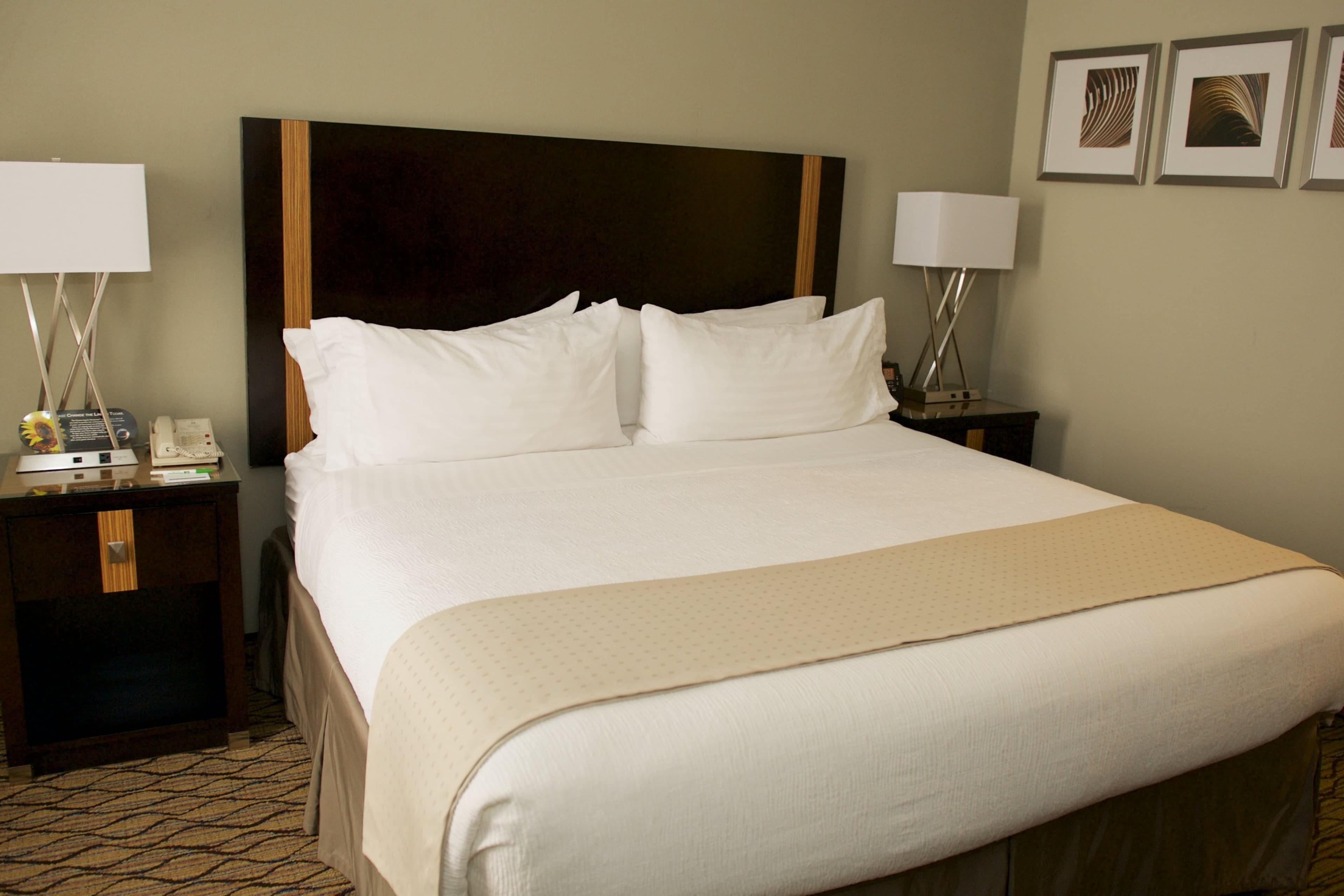 Holiday Inn Effingham — 9