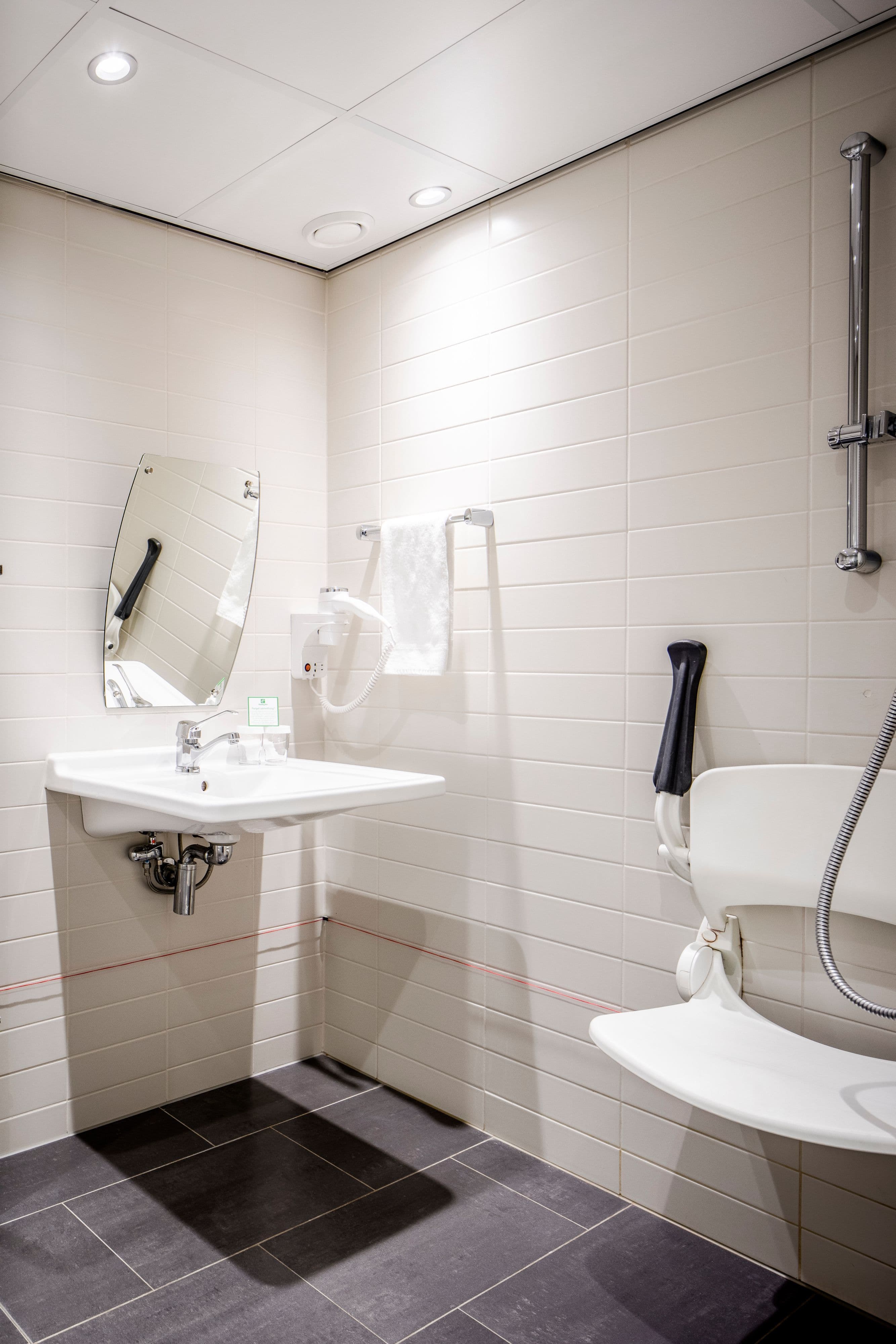 Holiday Inn Eindhoven — 7