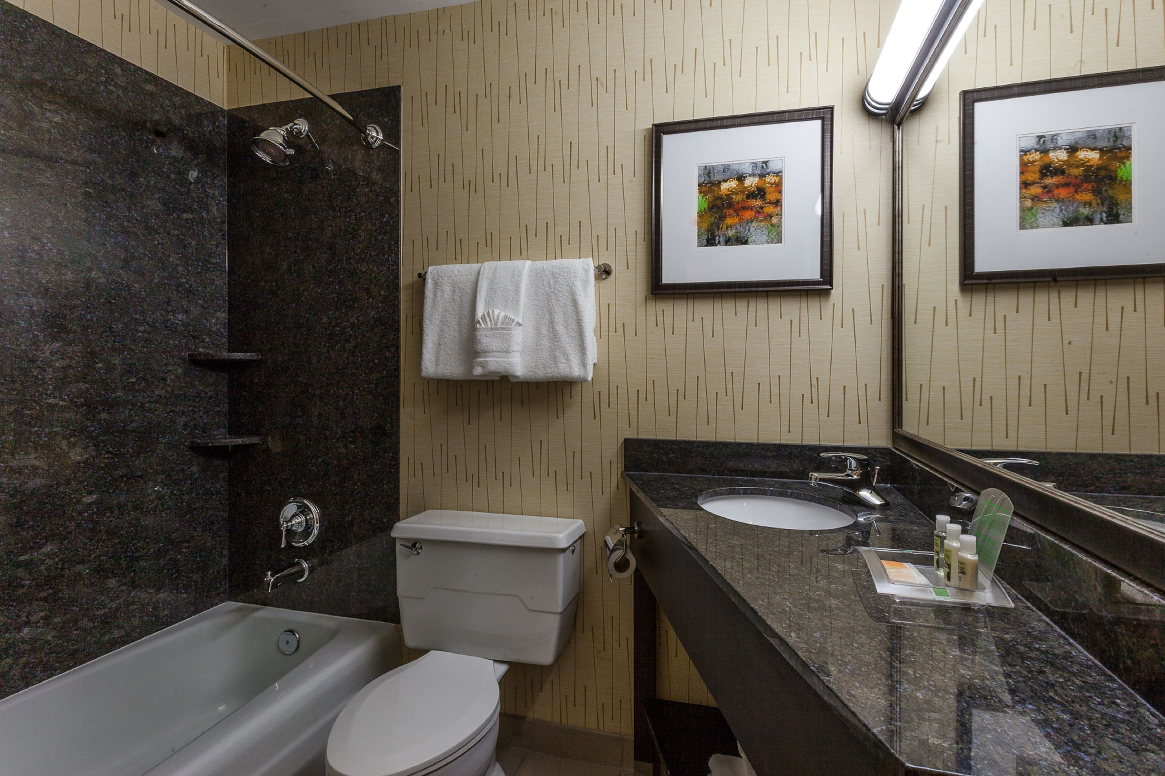 Holiday Inn Chicago North-Evanston — 6