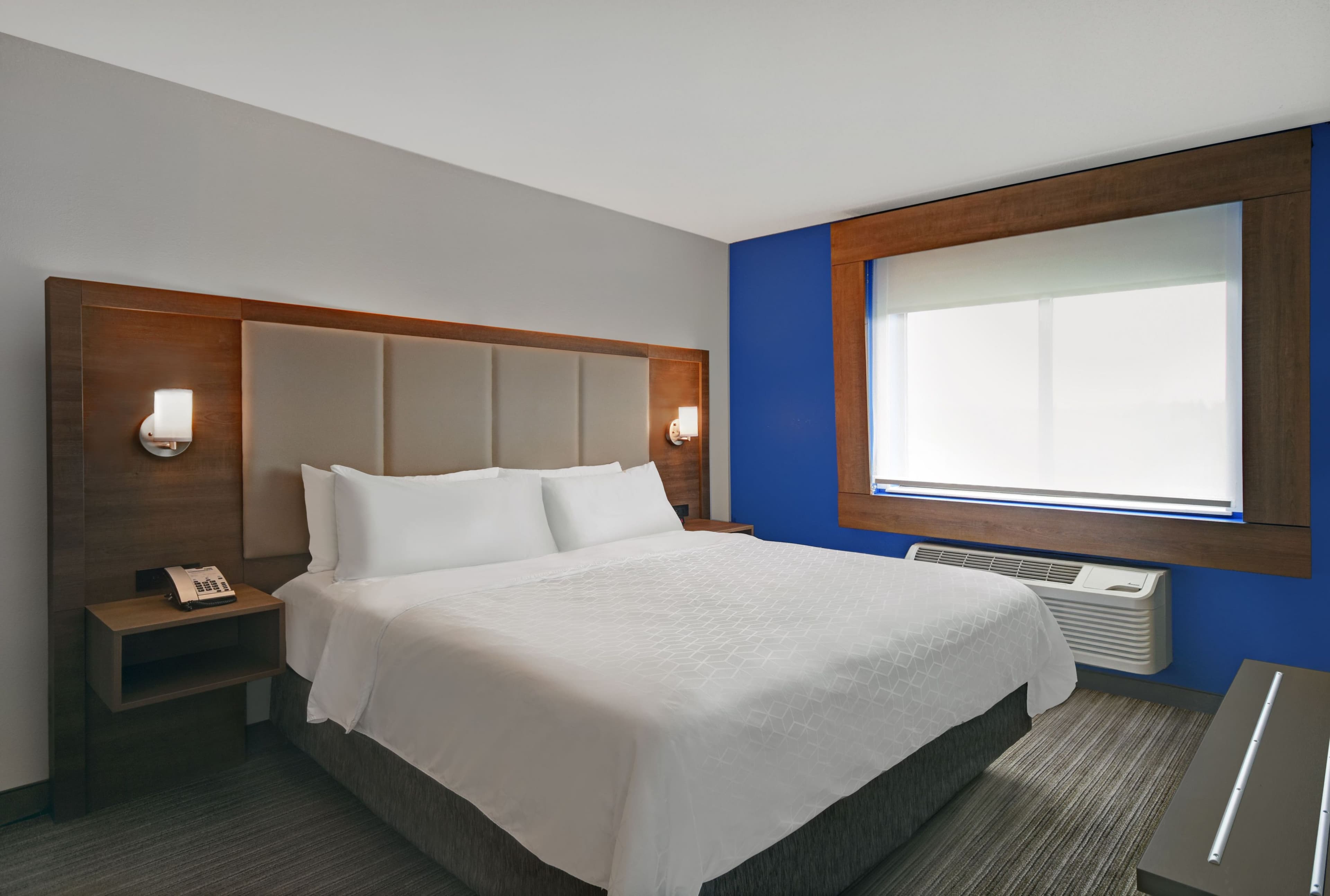 Holiday Inn Express Adrian — 22