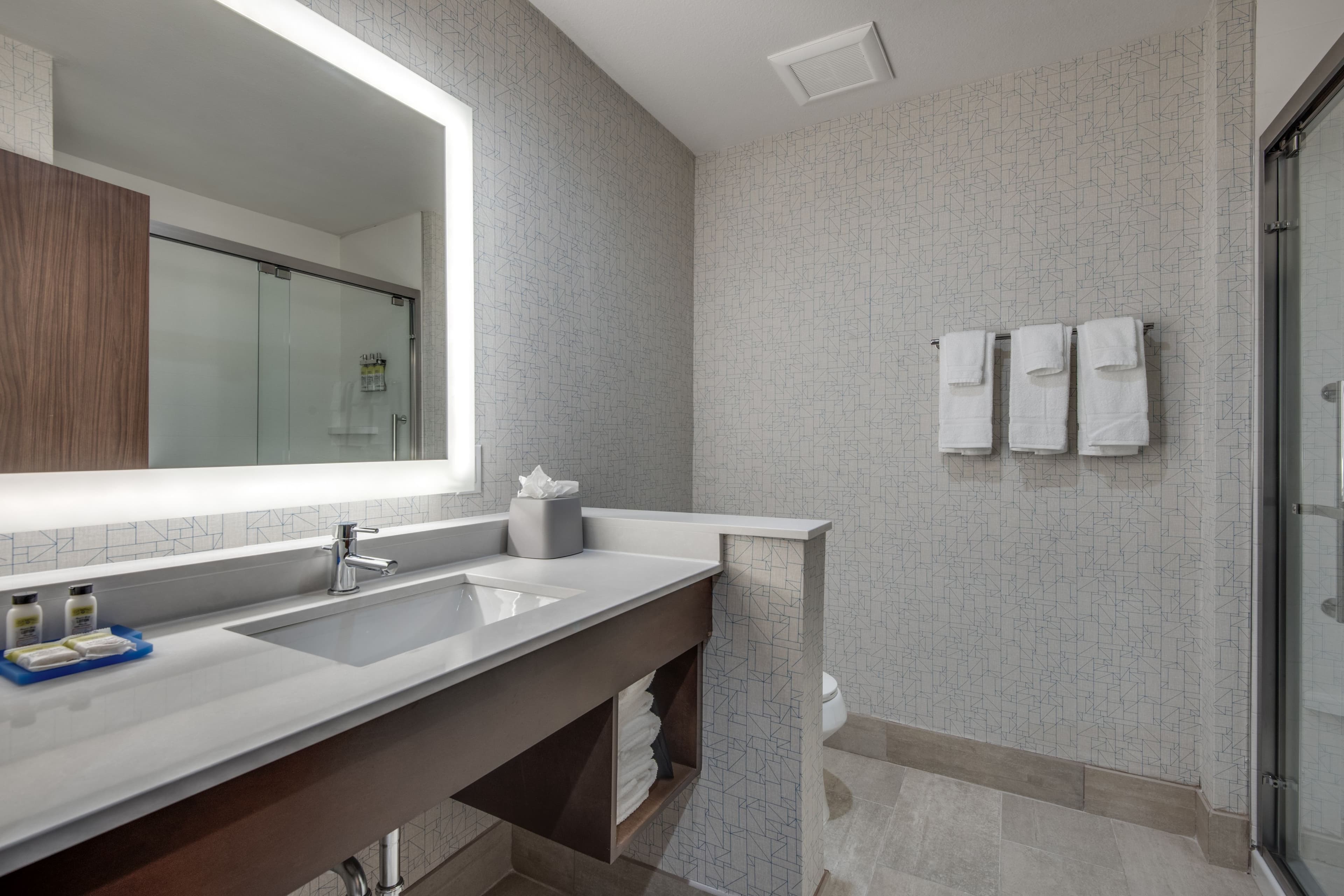 Holiday Inn Express & Suites Dallas North - Addison — 21