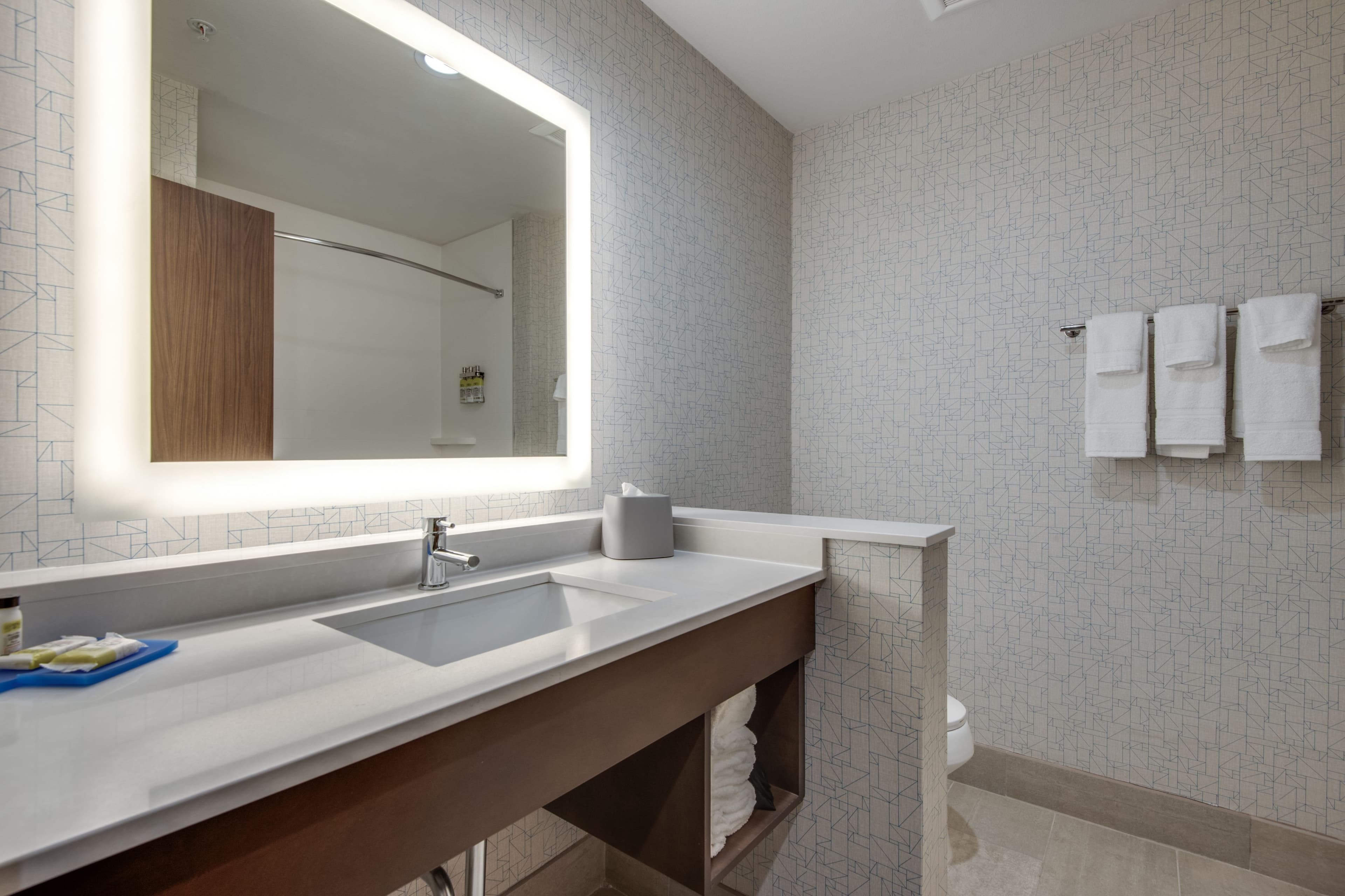 Holiday Inn Express & Suites Dallas North - Addison — 25