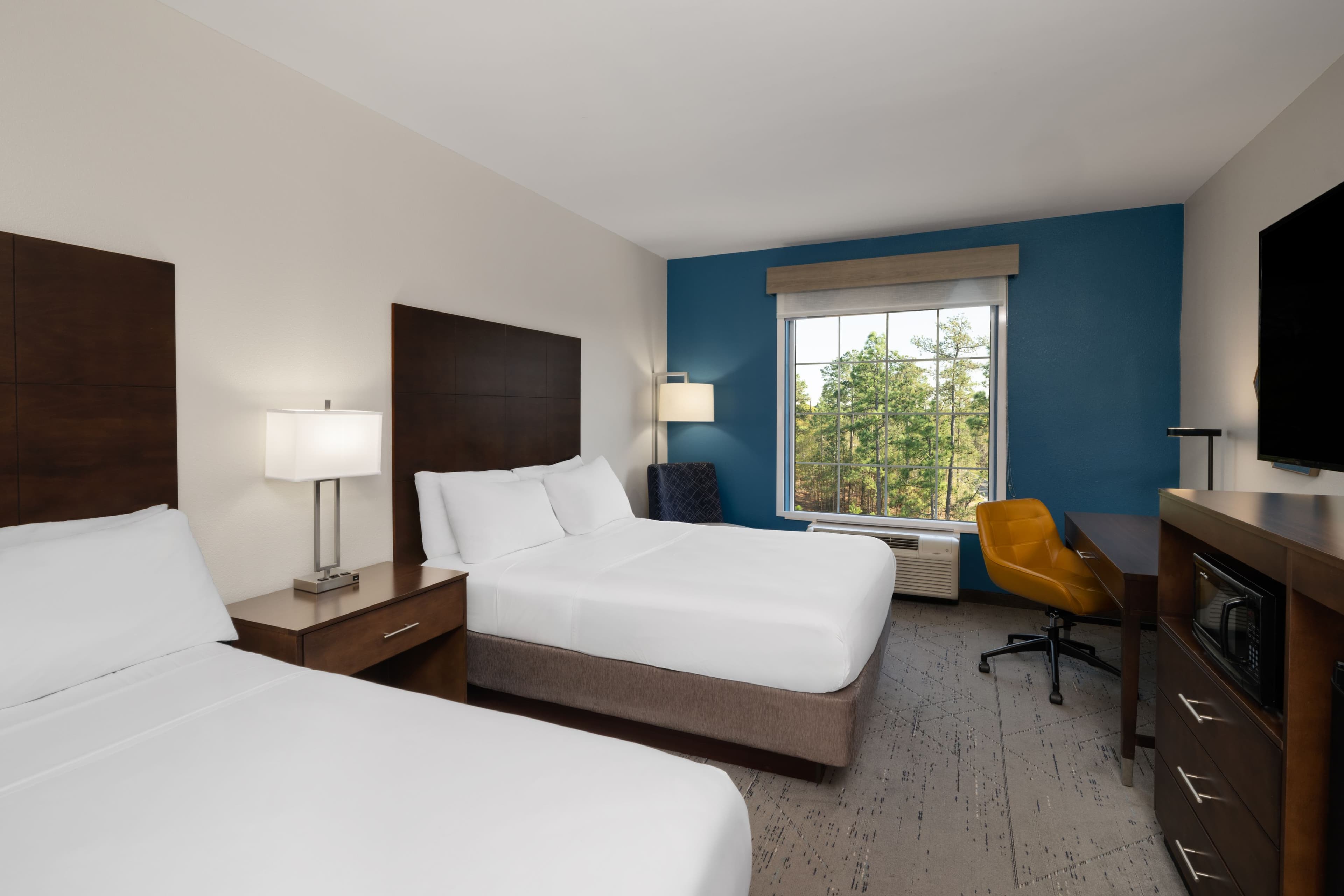 Holiday Inn Express & Suites Aiken — 23
