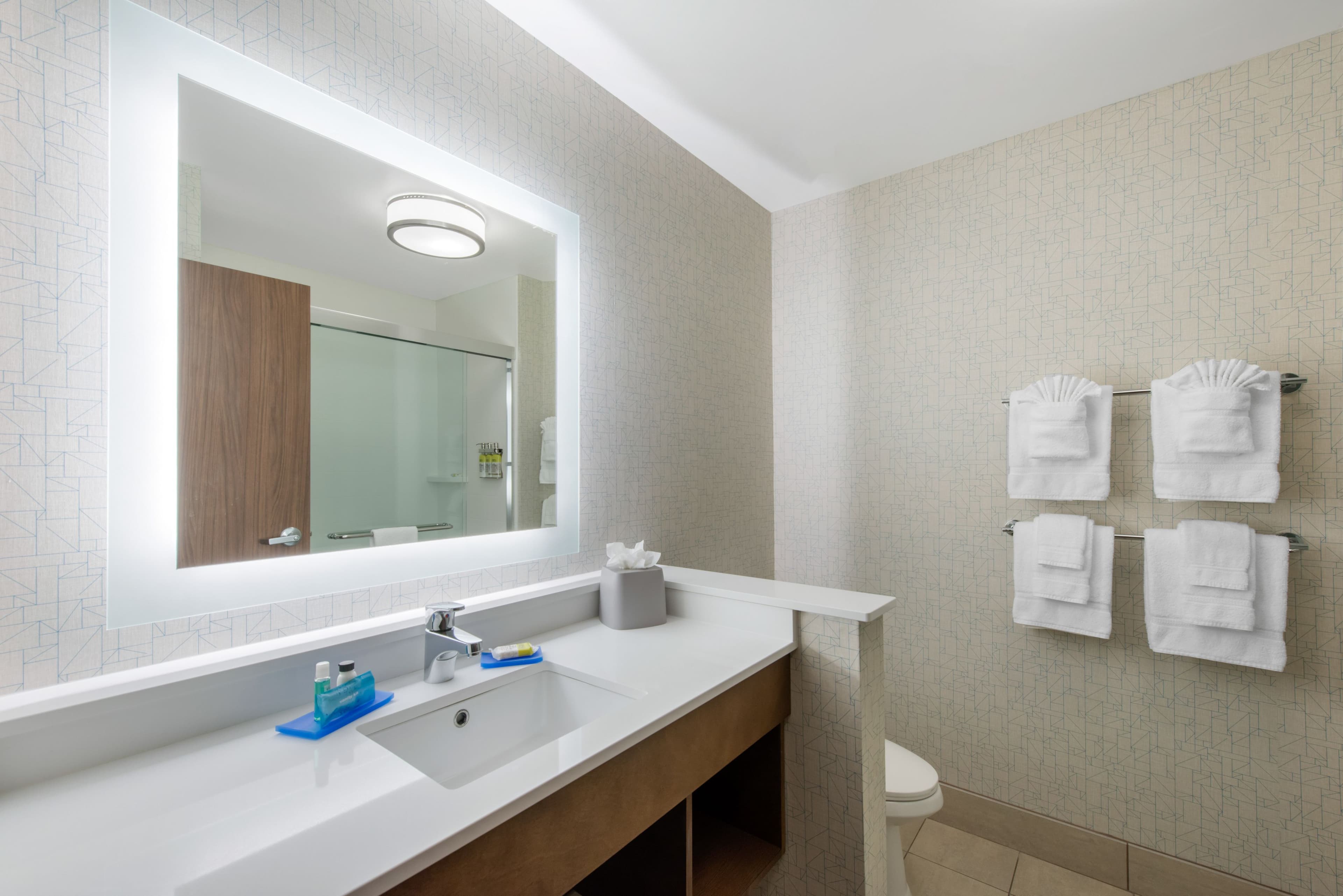 Holiday Inn Express & Suites Alachua - Gainesville Area — 13