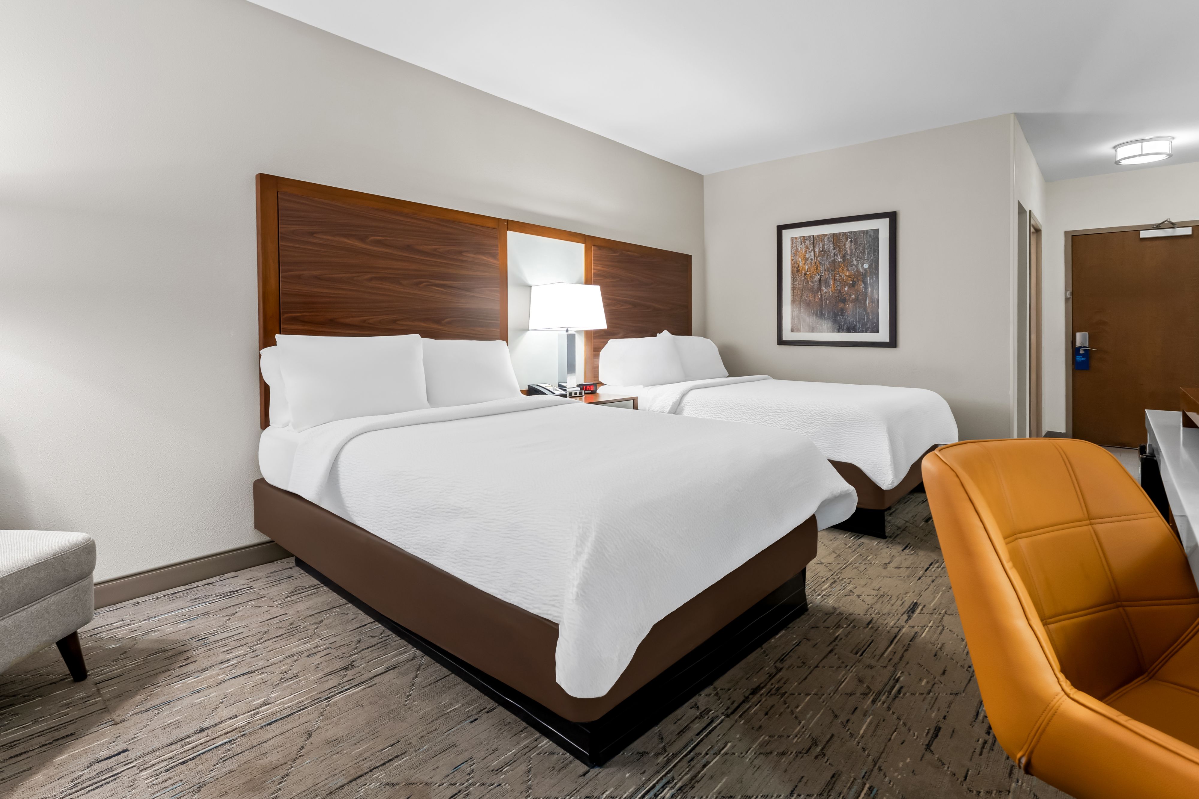 Holiday Inn Express & Suites Albany — 21