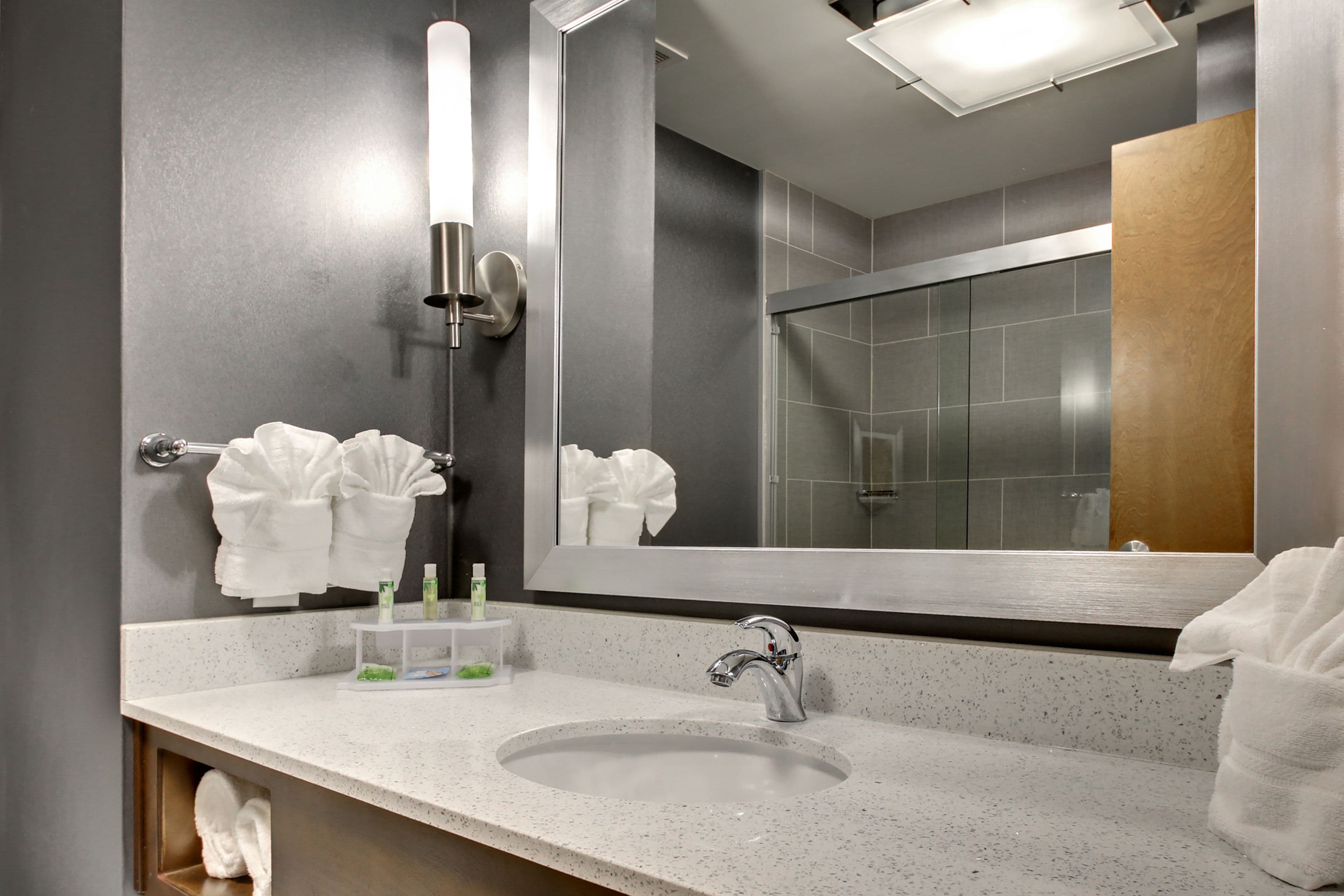 Holiday Inn Express & Suites Albany — 8