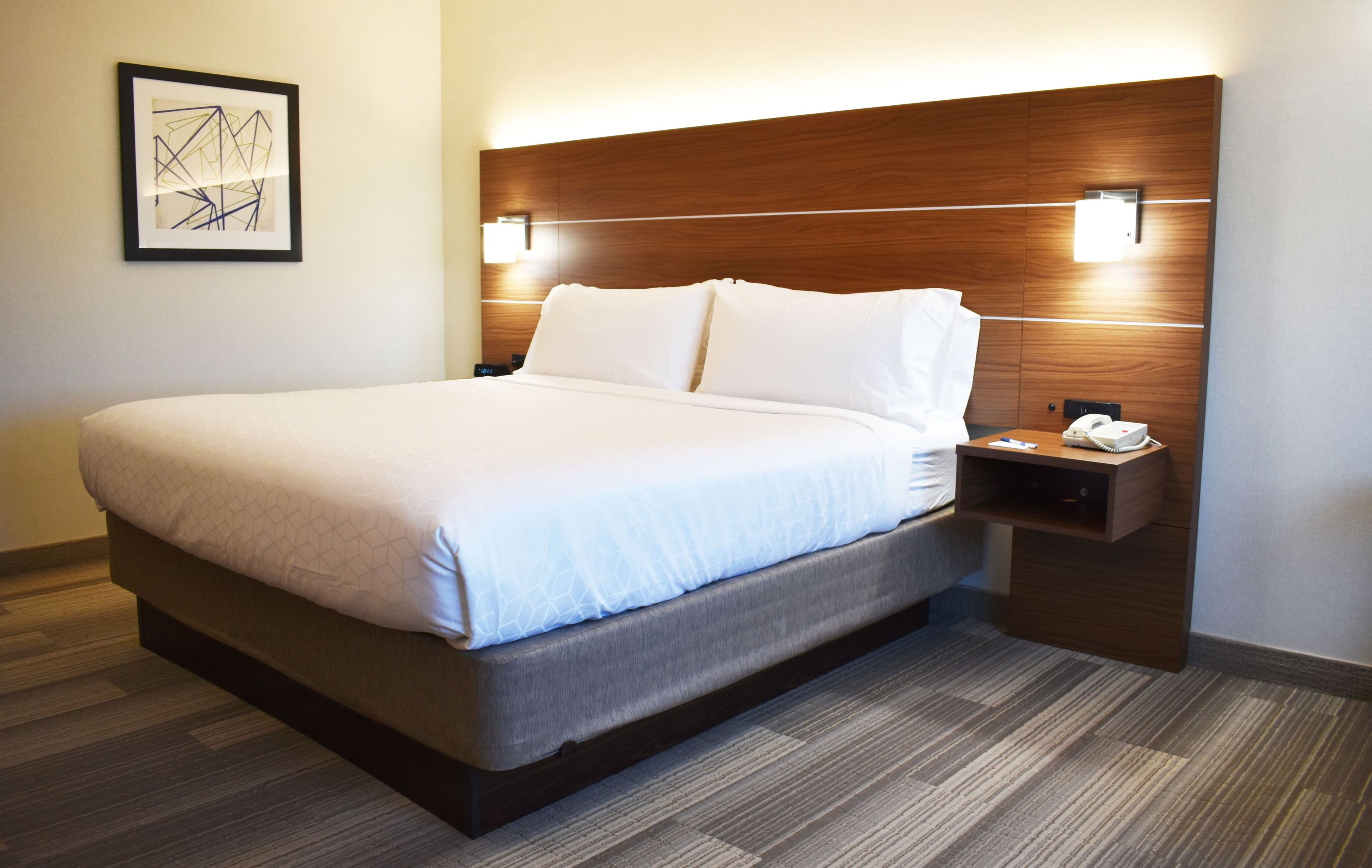 Holiday Inn Express & Suites Albany — 7