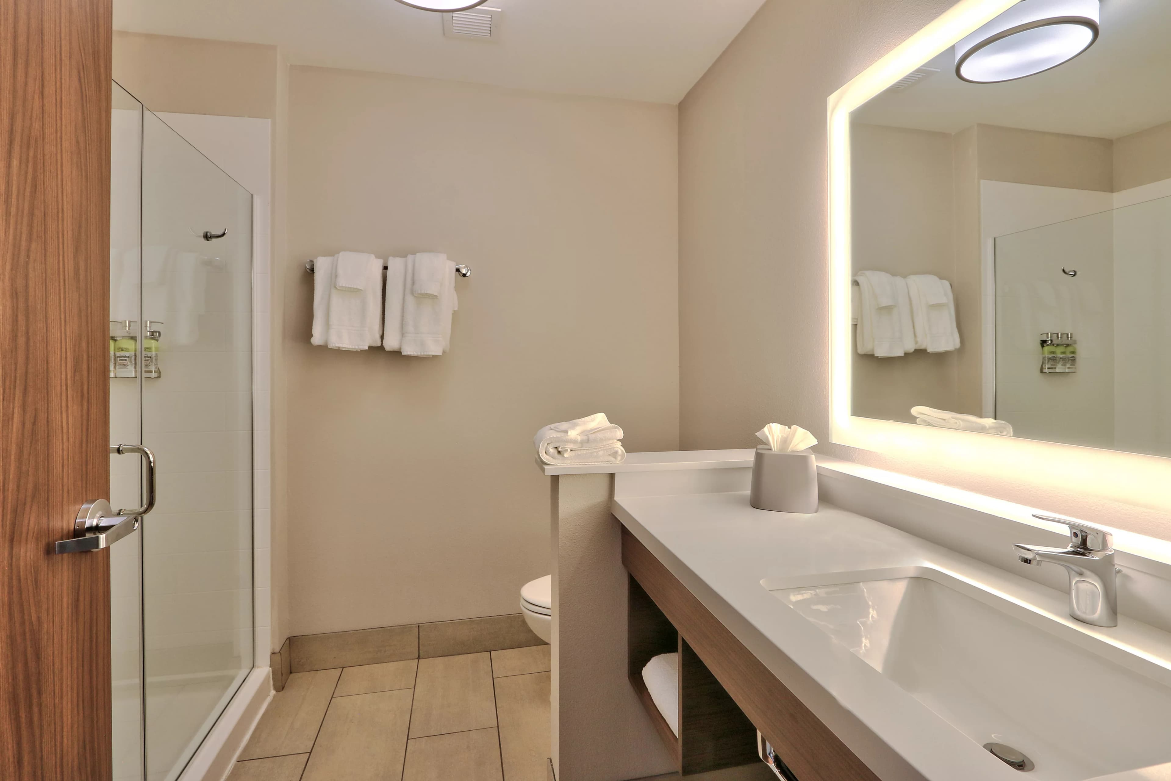 Holiday Inn Express & Suites Albuquerque East — 10