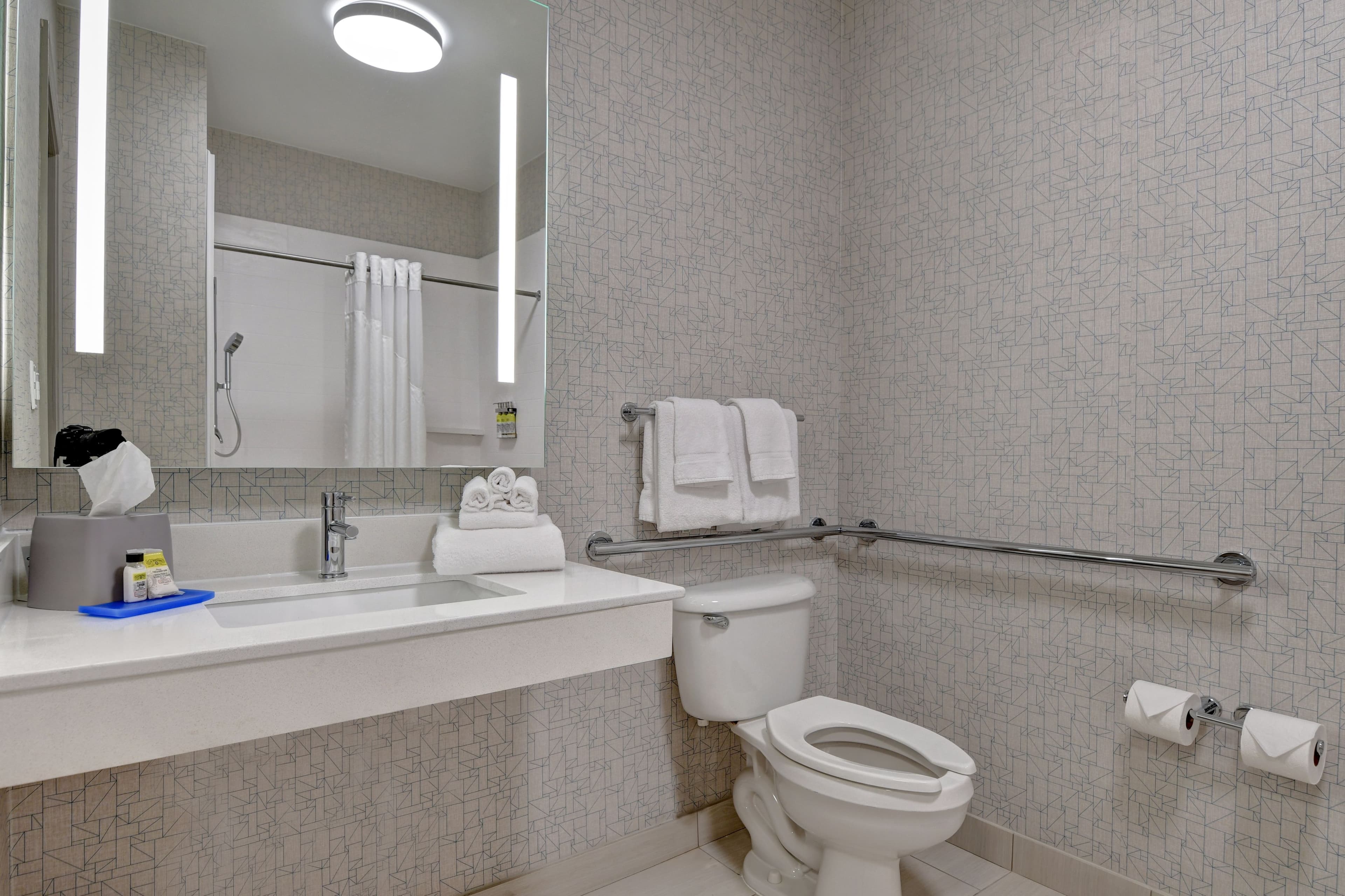 Holiday Inn Express & Suites Anderson-I-85 (Hwy 76, Ex 19b) — 10