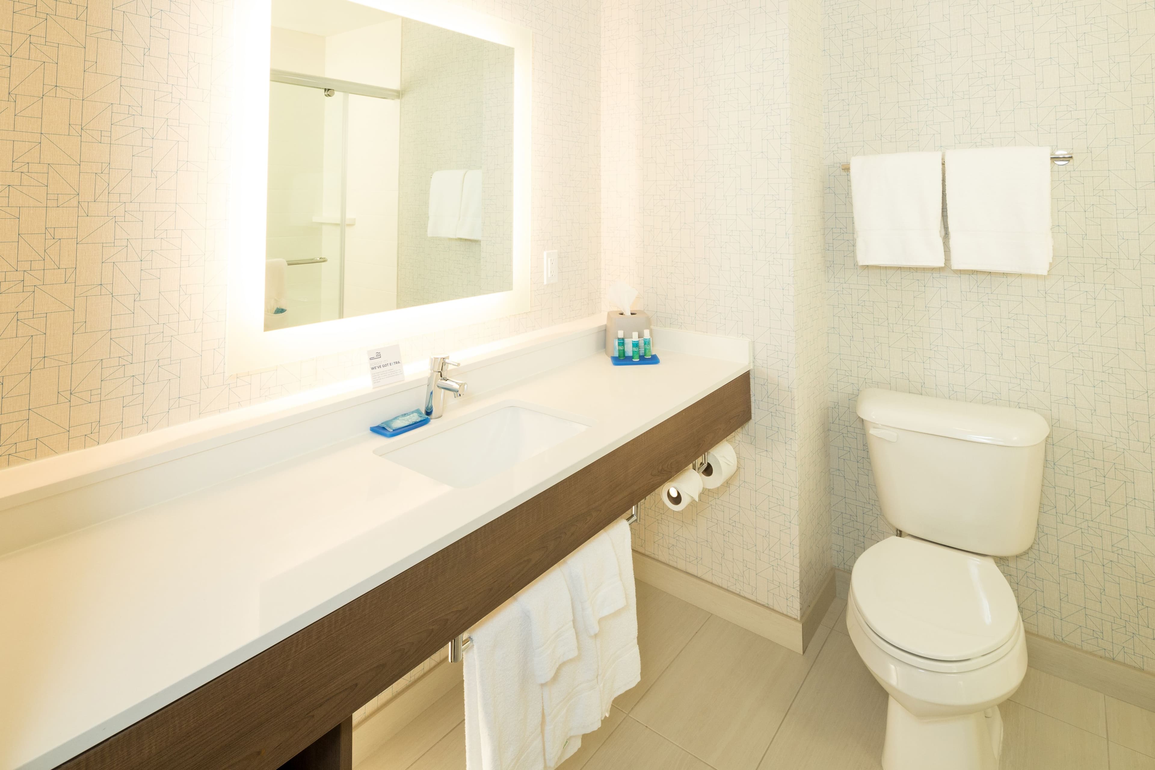Holiday Inn Express & Suites Auburn — 19