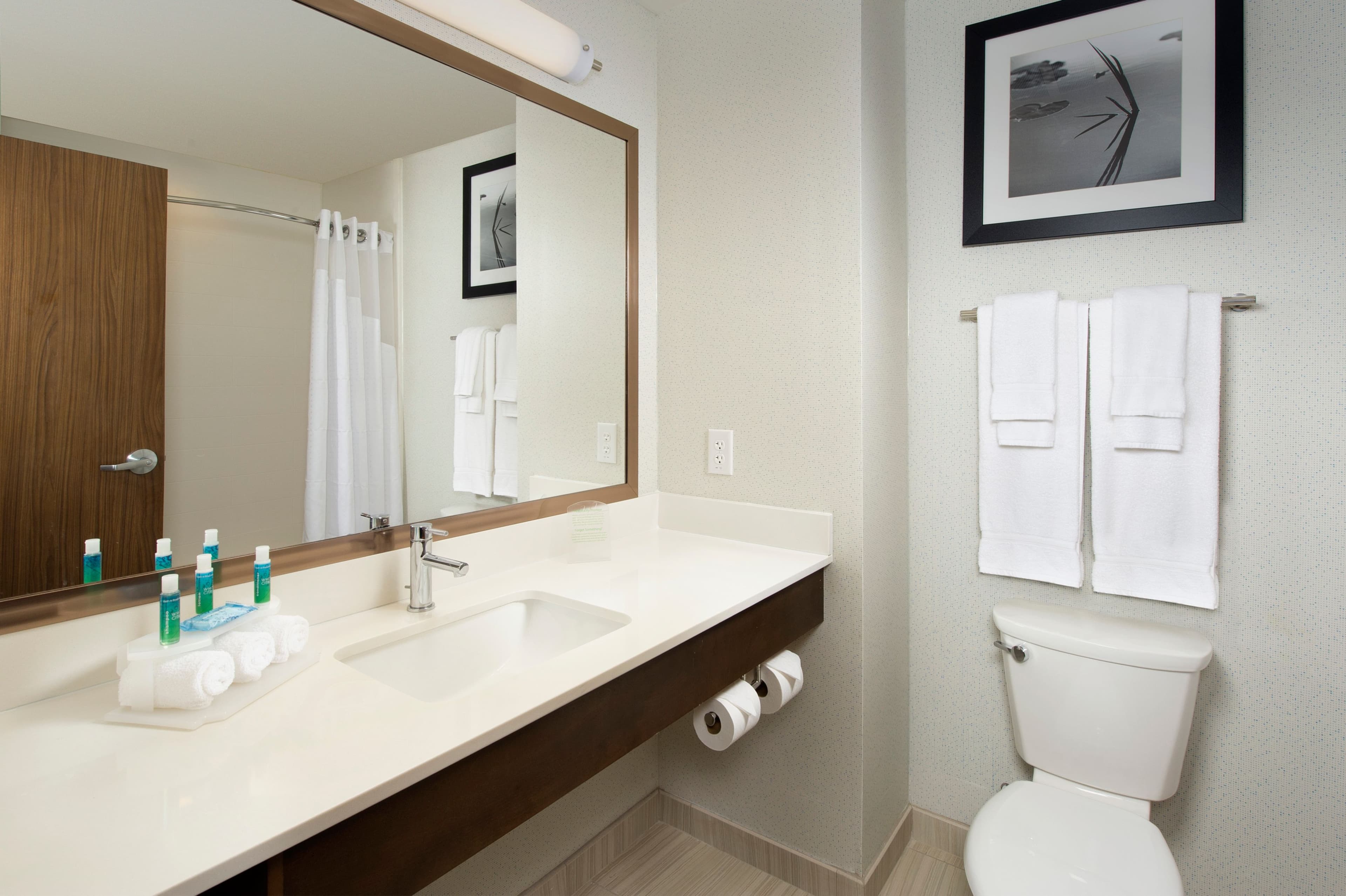 Holiday Inn Express & Suites Bay City — 6