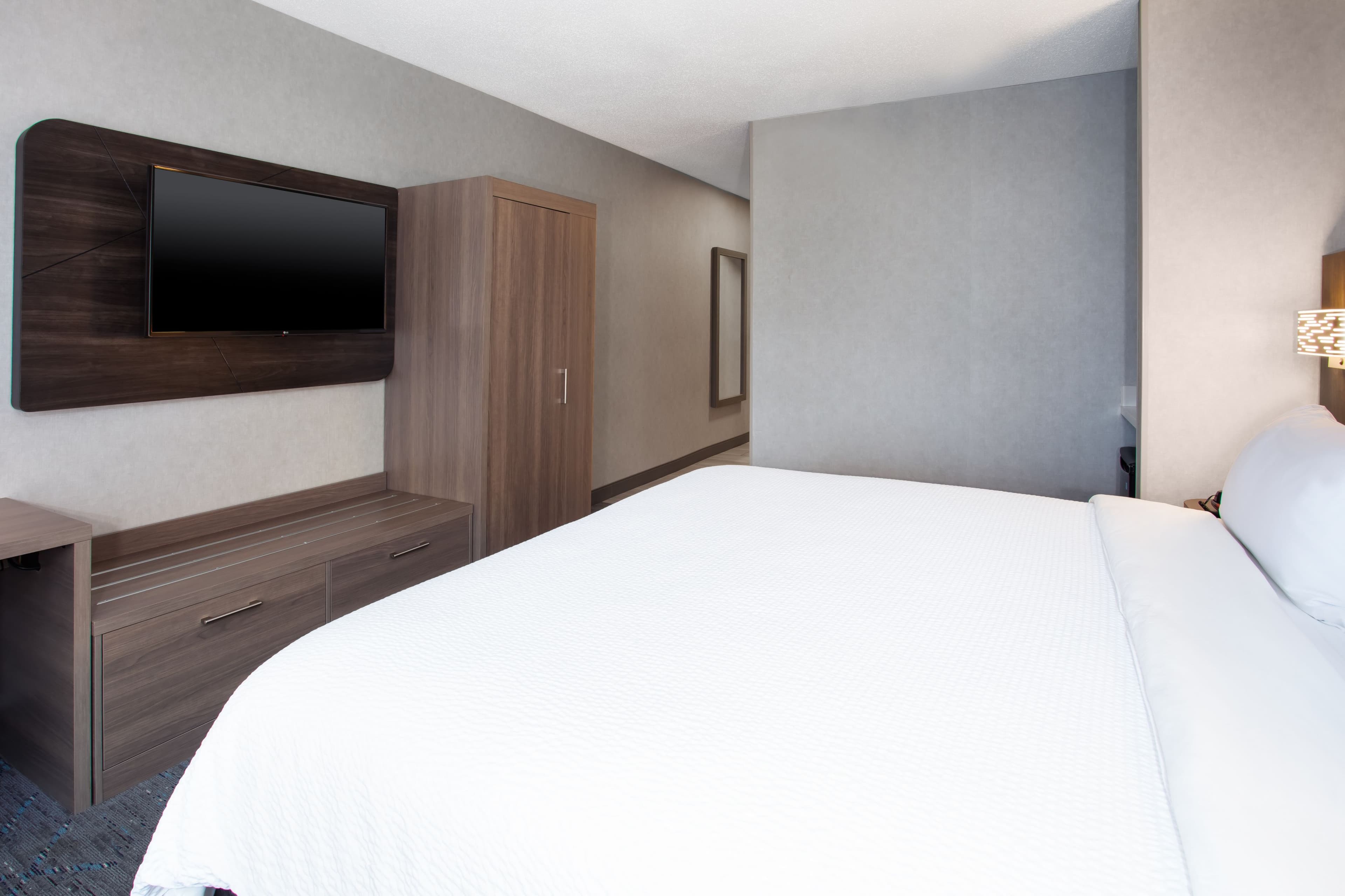 Holiday Inn Express & Suites Belleville (Airport Area) — 6