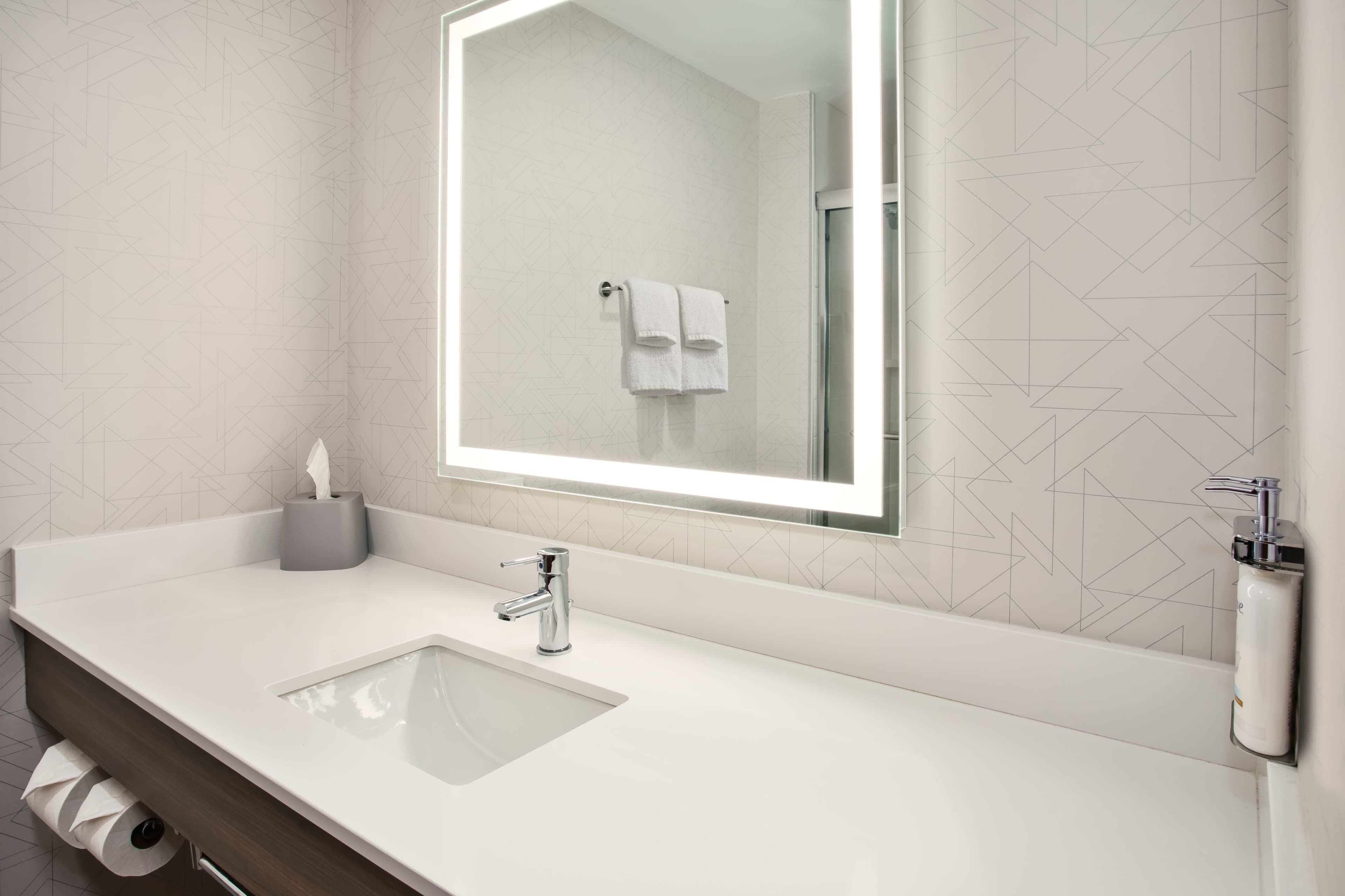 Holiday Inn Express & Suites Belleville (Airport Area) — 13