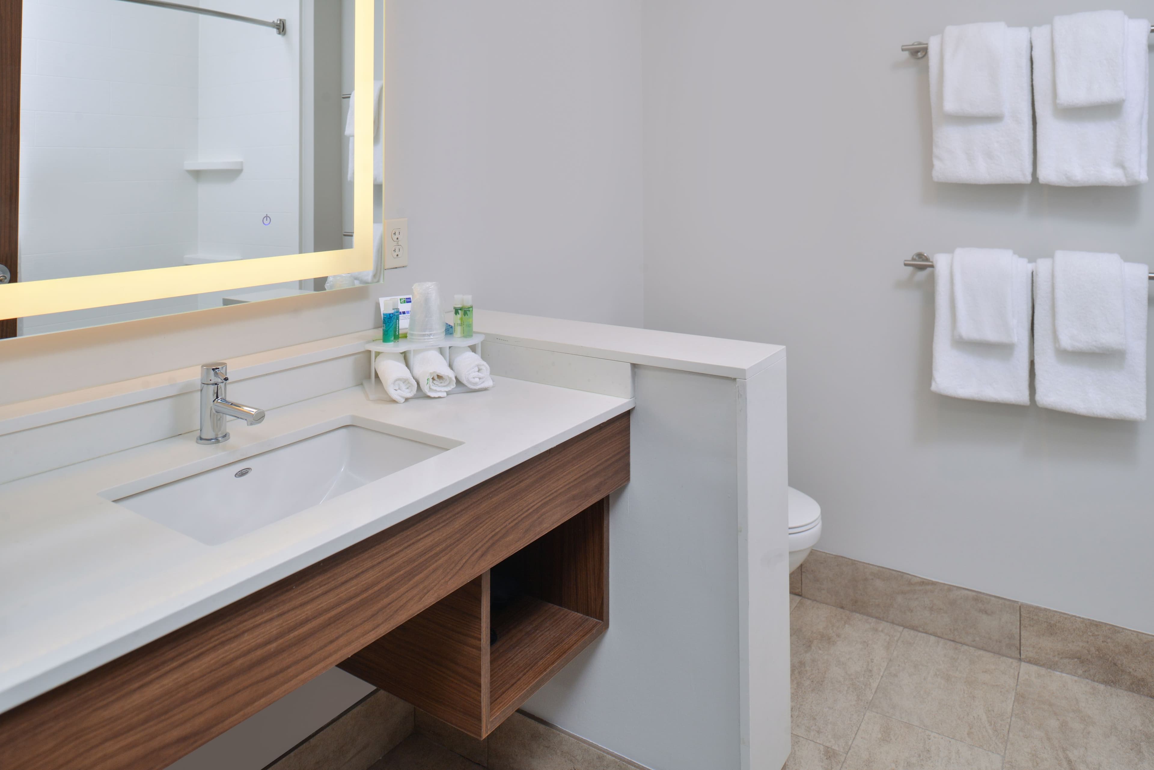 Holiday Inn Express & Suites Brighton South - US 23 — 7
