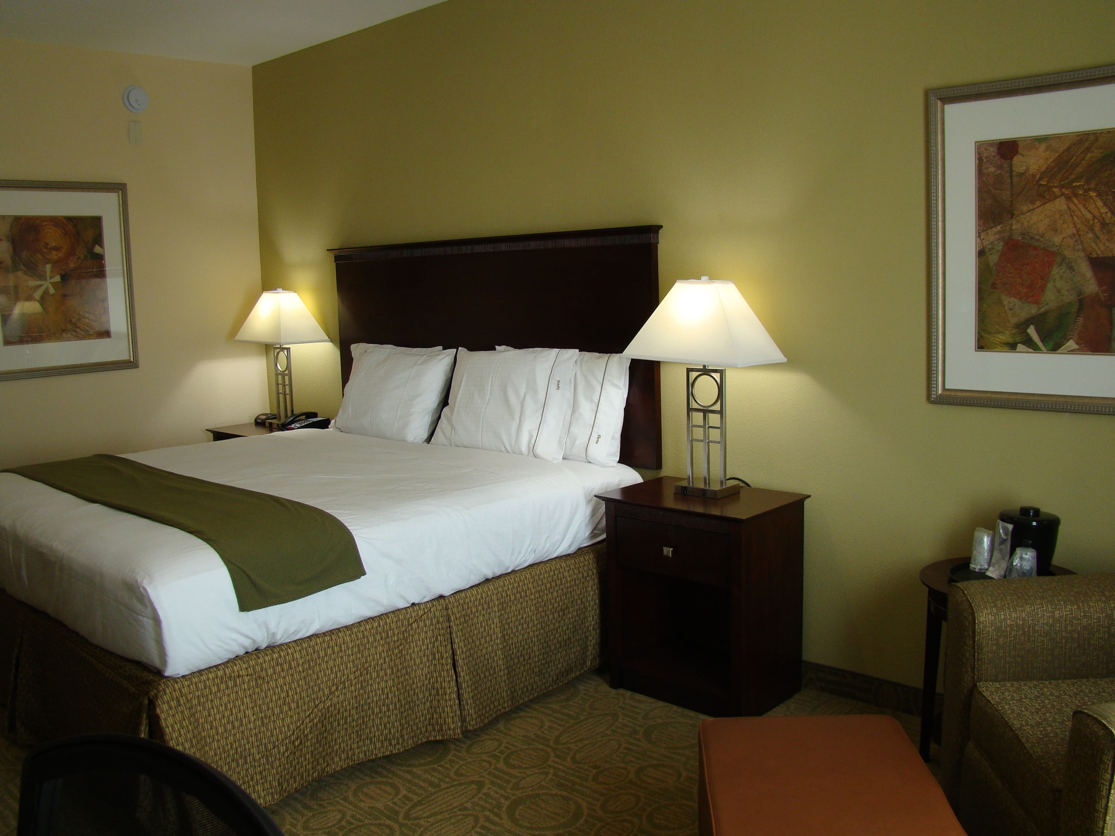 Holiday Inn Express & Suites Brownfield — 4