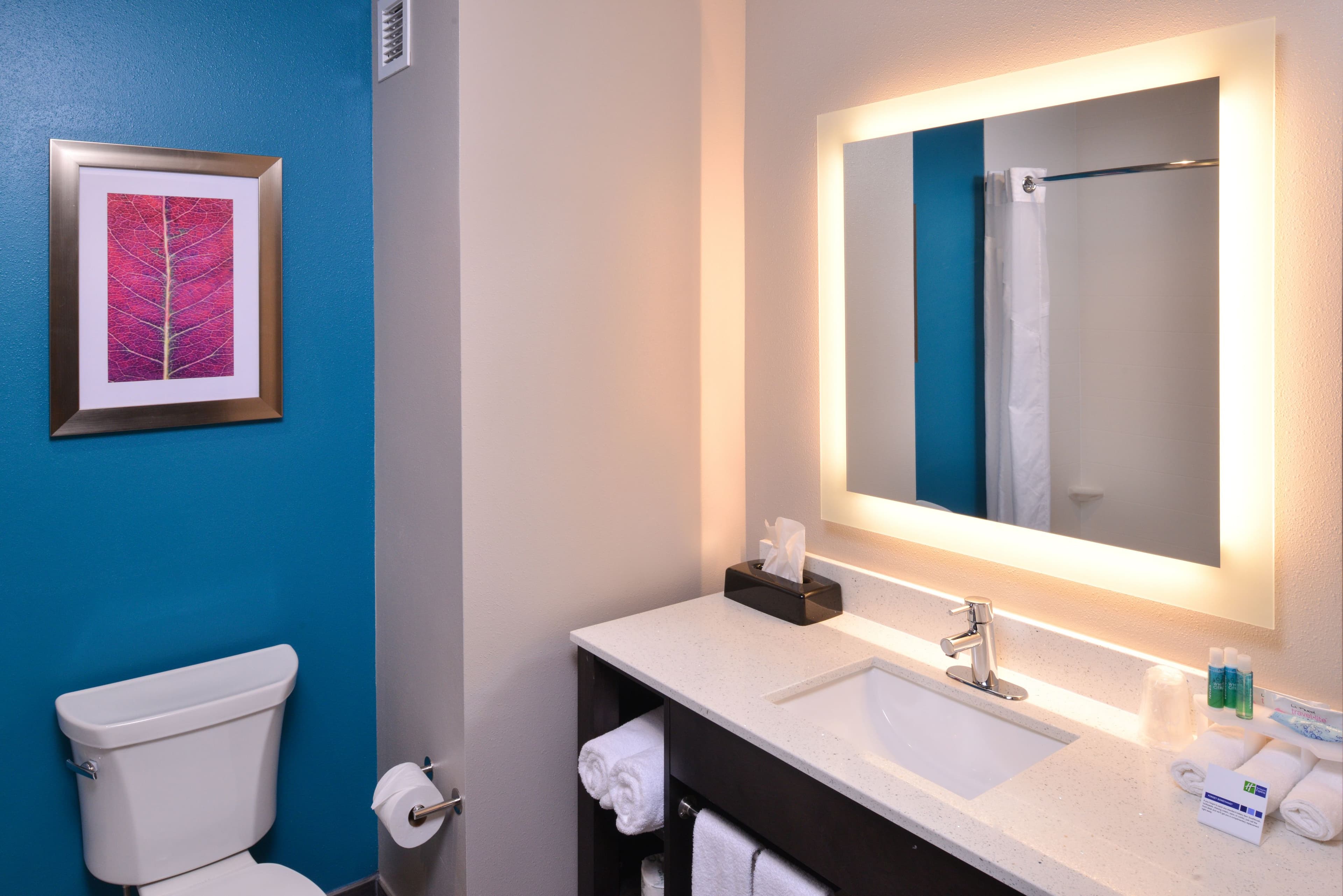 Holiday Inn Express & Suites Bryant - Benton Area — 7