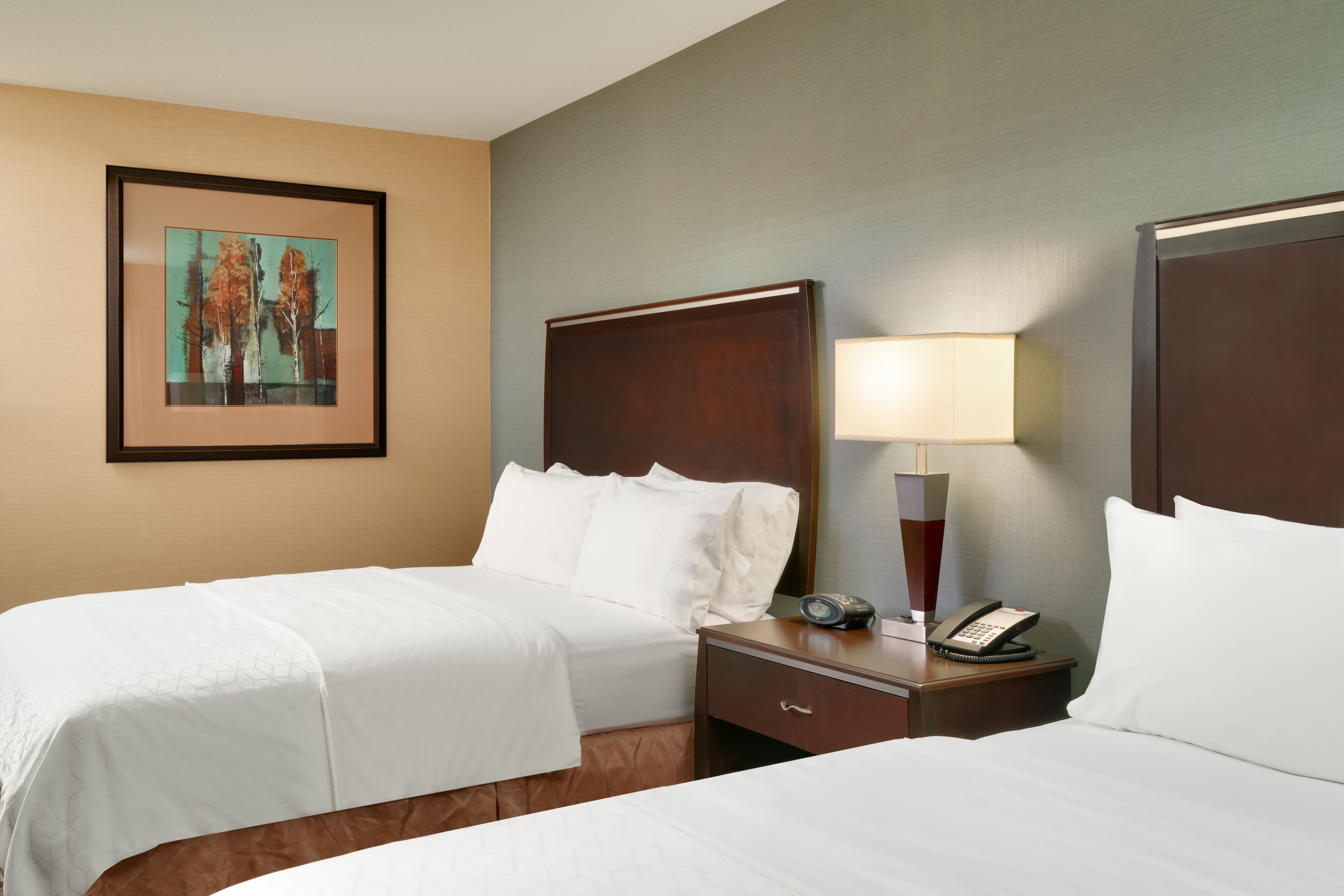 Holiday Inn Express & Suites Butte — 13