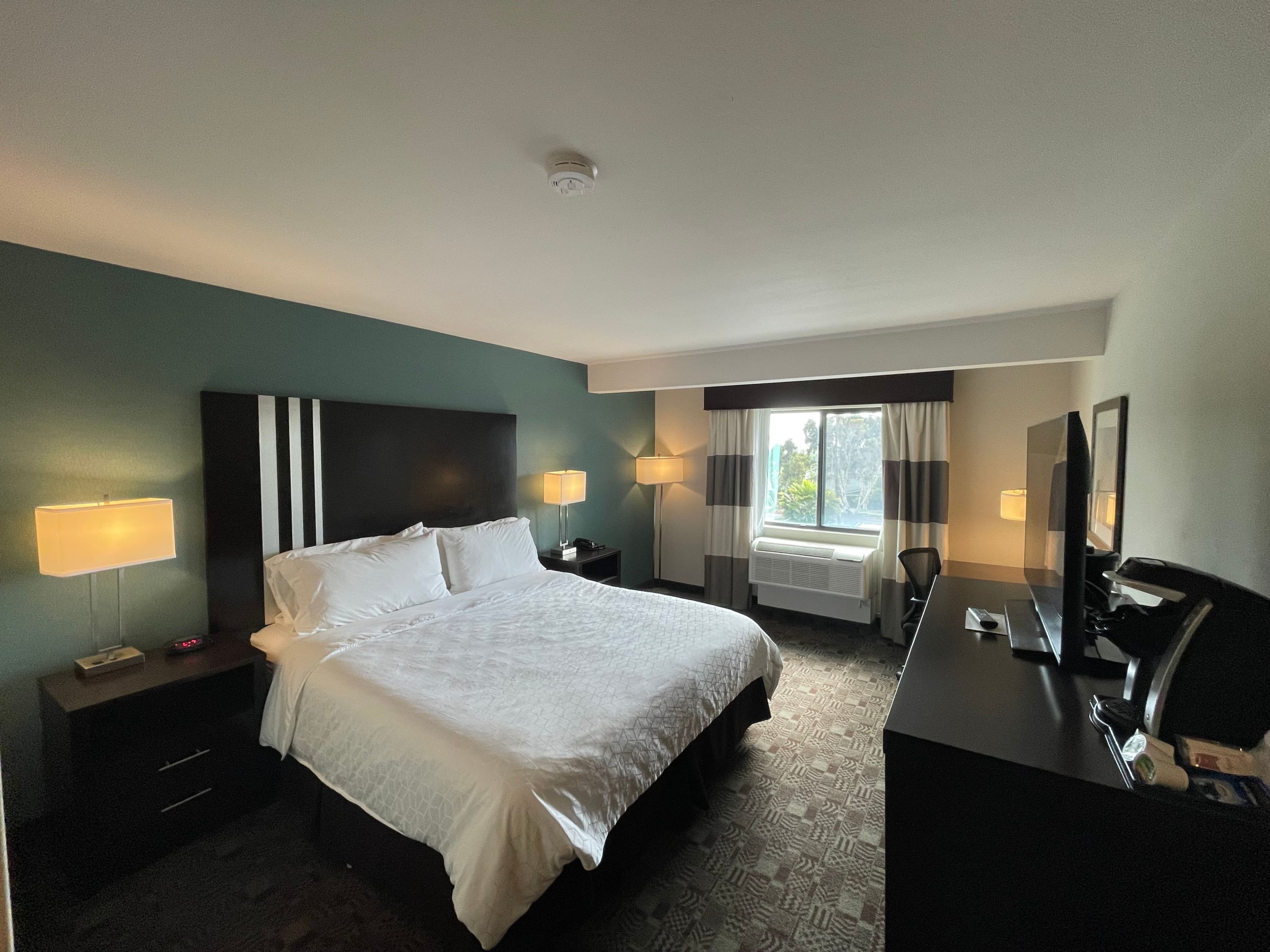Holiday Inn Express & Suites Carlsbad Beach - Image 3