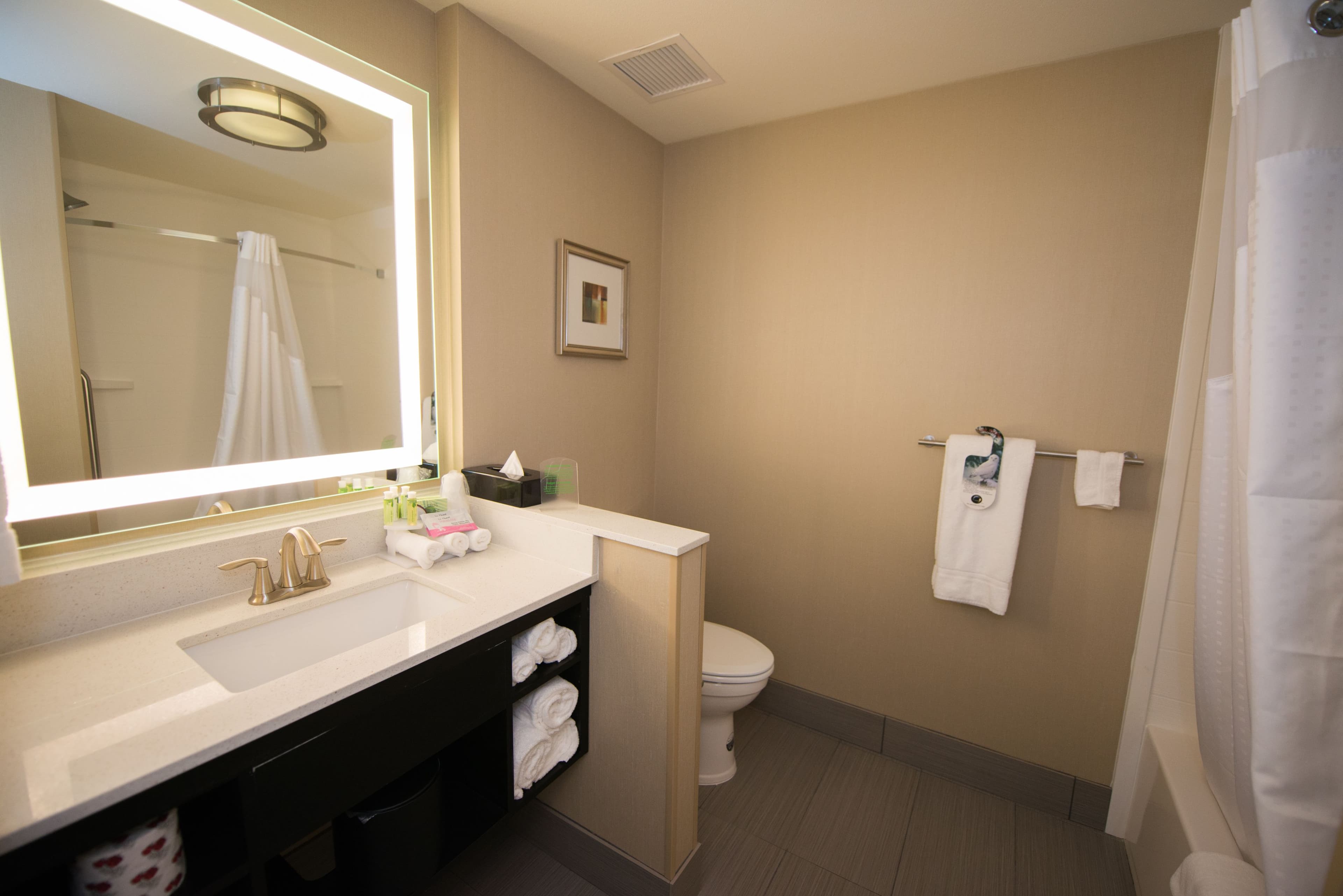 Holiday Inn Express & Suites Denver South - Castle Rock — 6