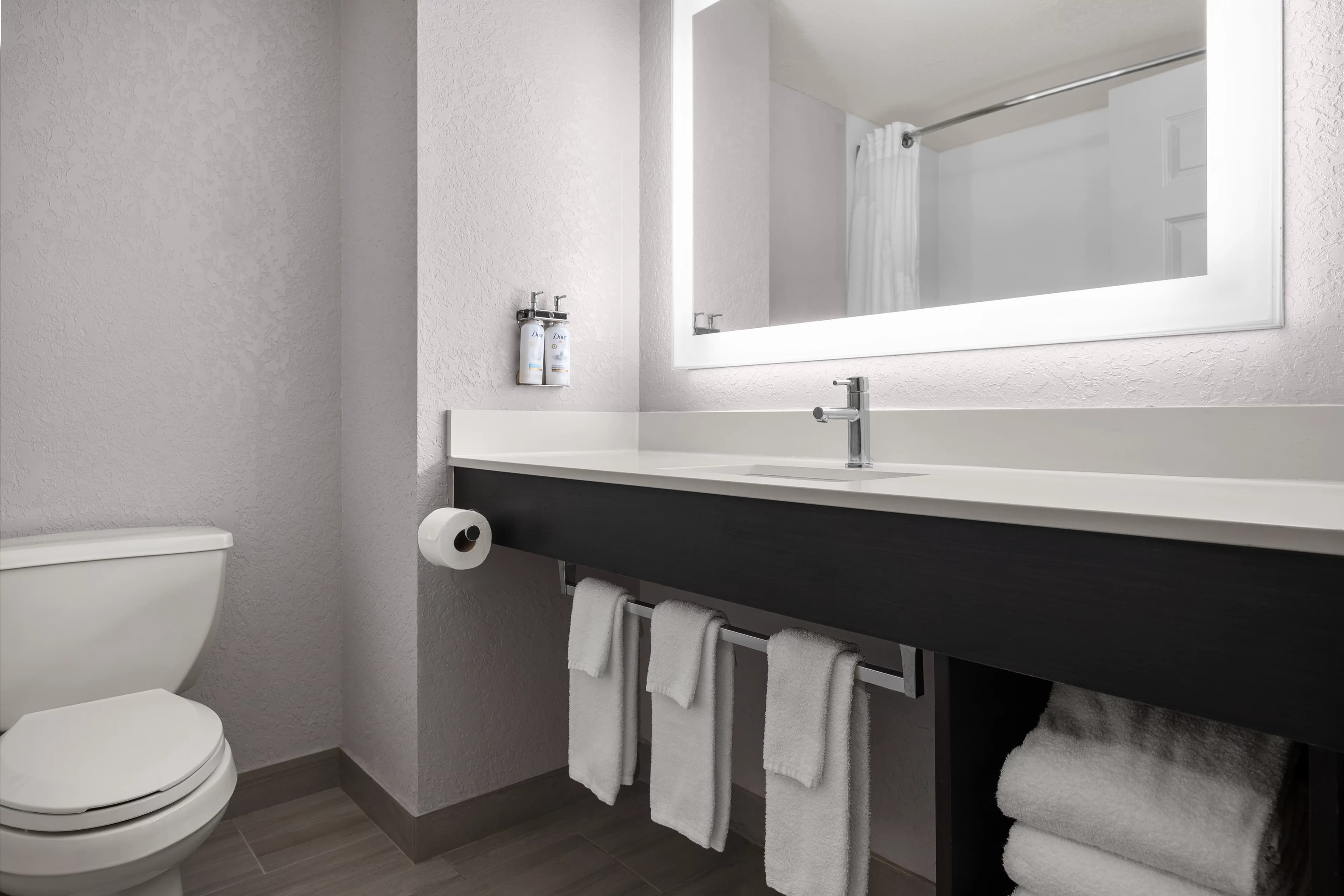 Holiday Inn Express & Suites Clearwater/Us 19 N — 5