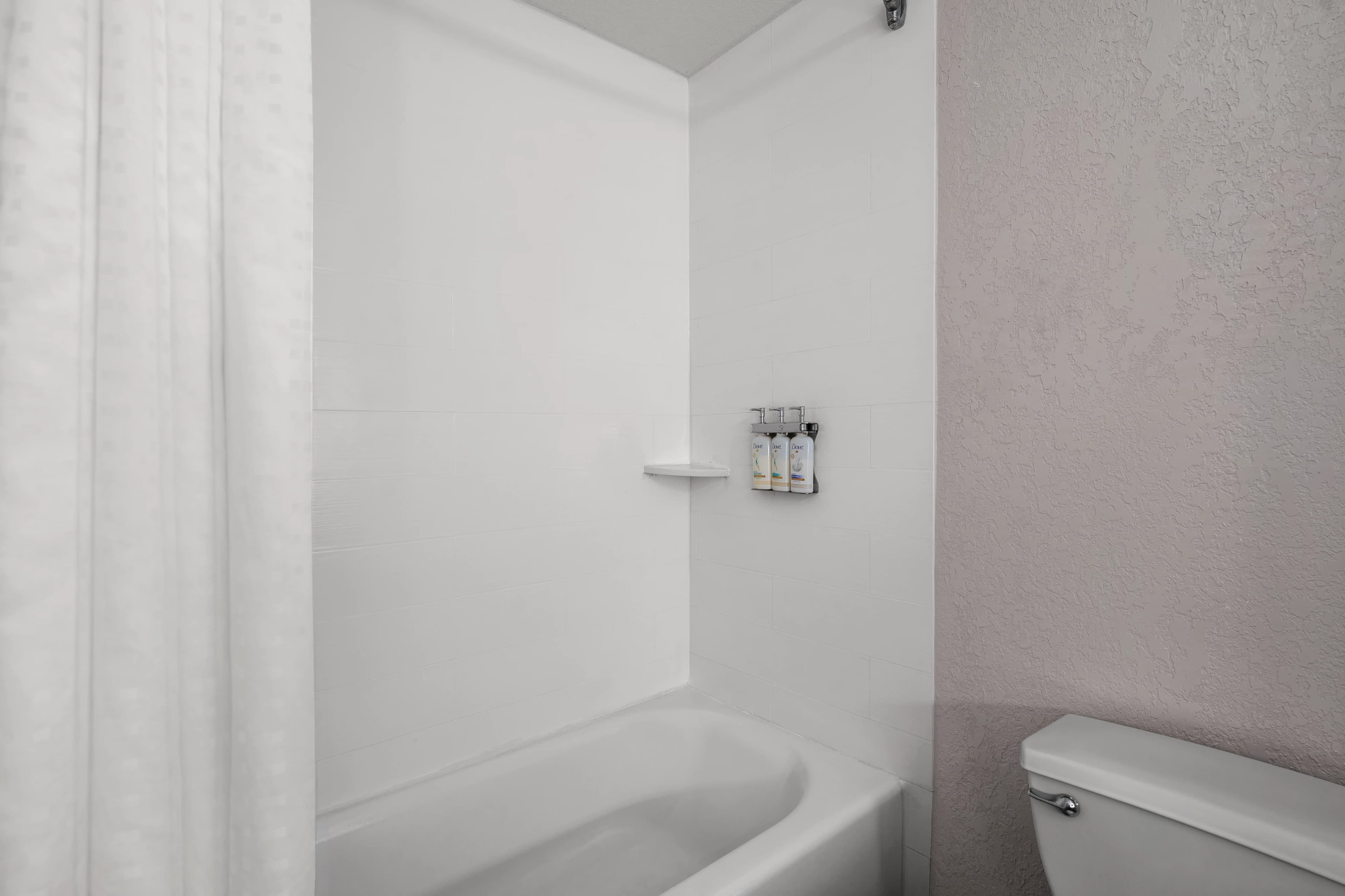 Holiday Inn Express & Suites Clearwater/Us 19 N — 4
