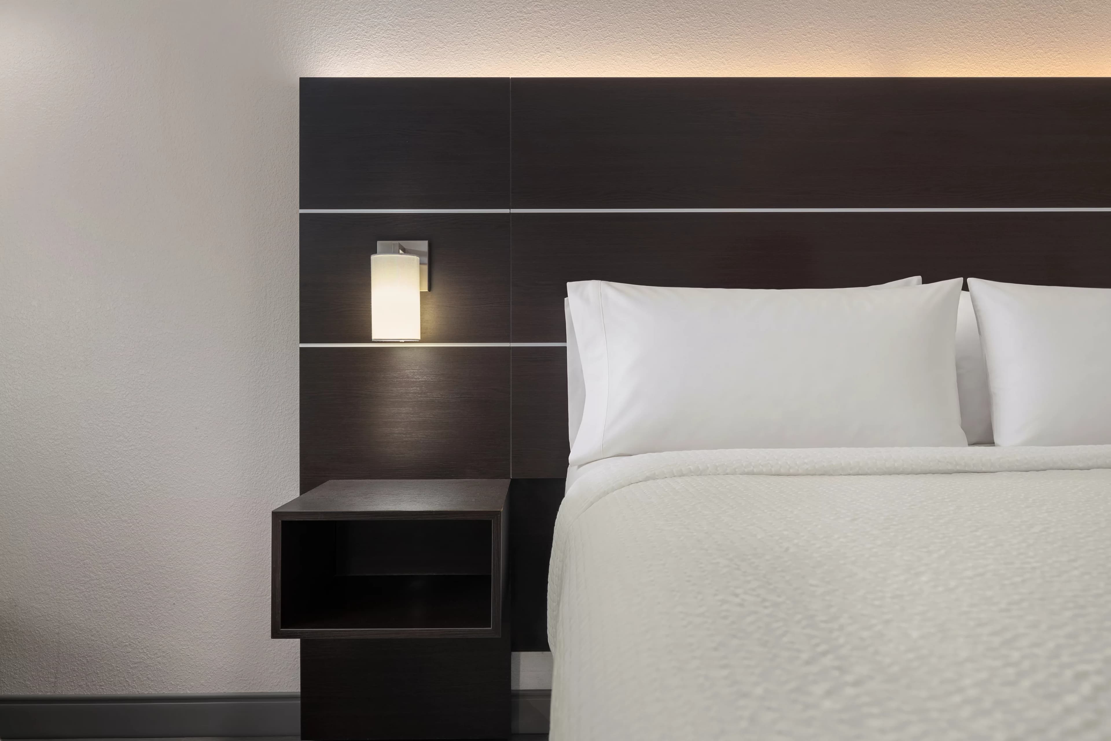 Holiday Inn Express & Suites Clearwater/Us 19 N — 3