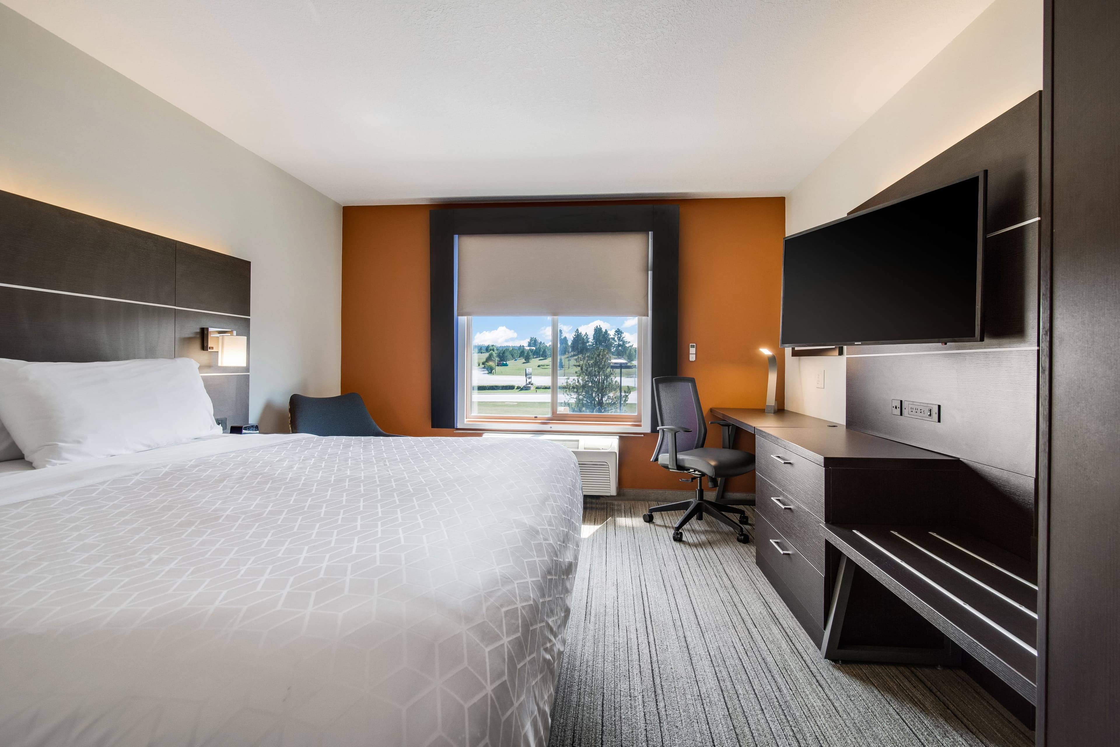 Holiday Inn Express & Suites Custer — 11