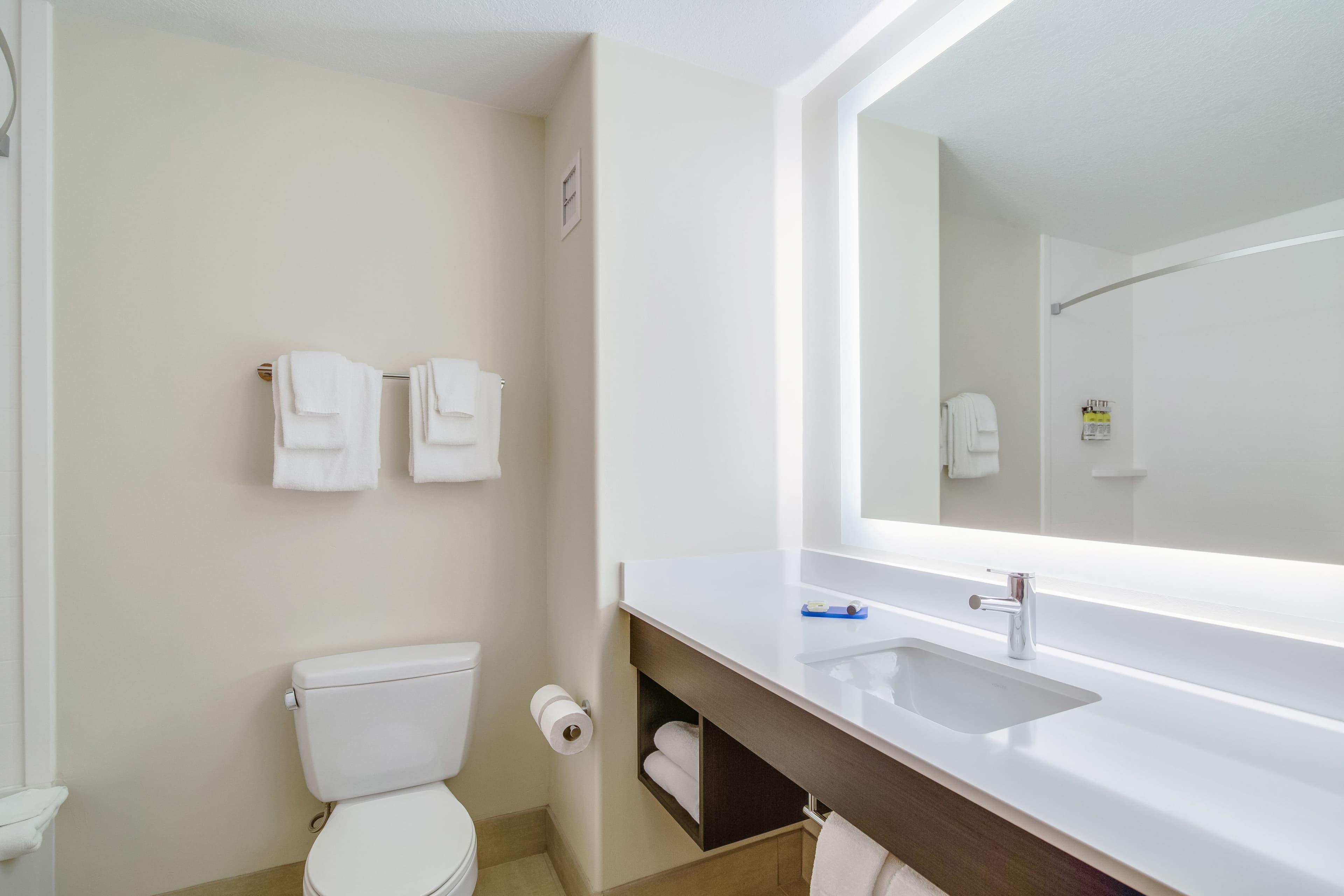 Holiday Inn Express & Suites Custer — 9