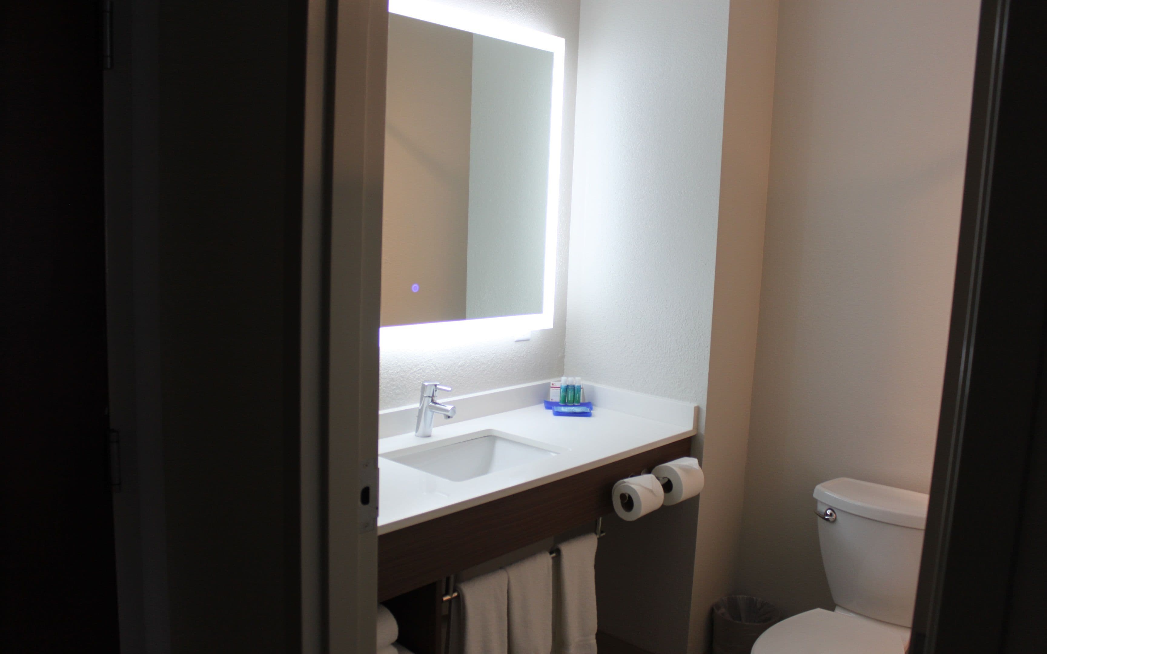 Holiday Inn Express & Suites Orlando South-Davenport — 7