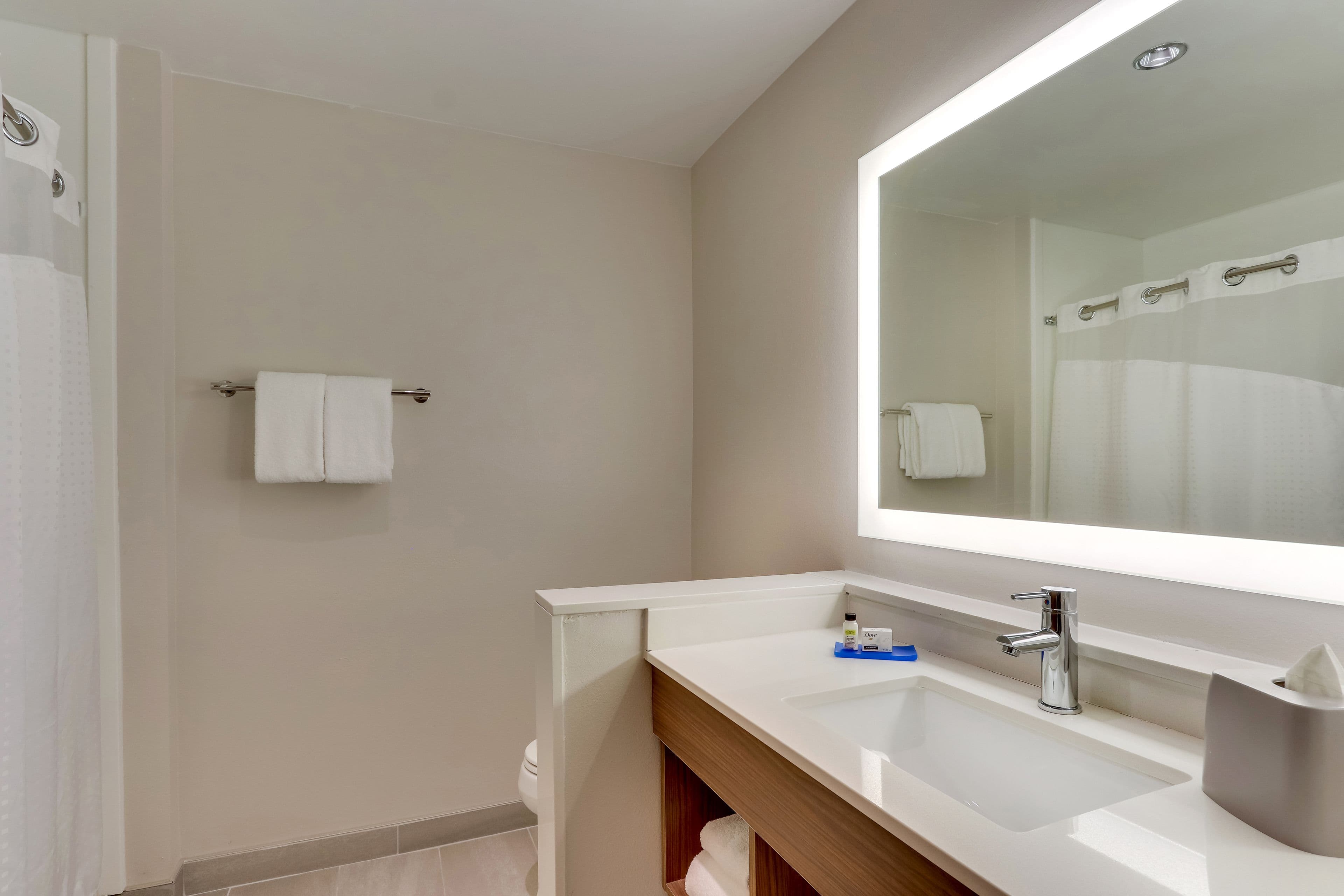 Holiday Inn Express & Suites Dawsonville - Image 2