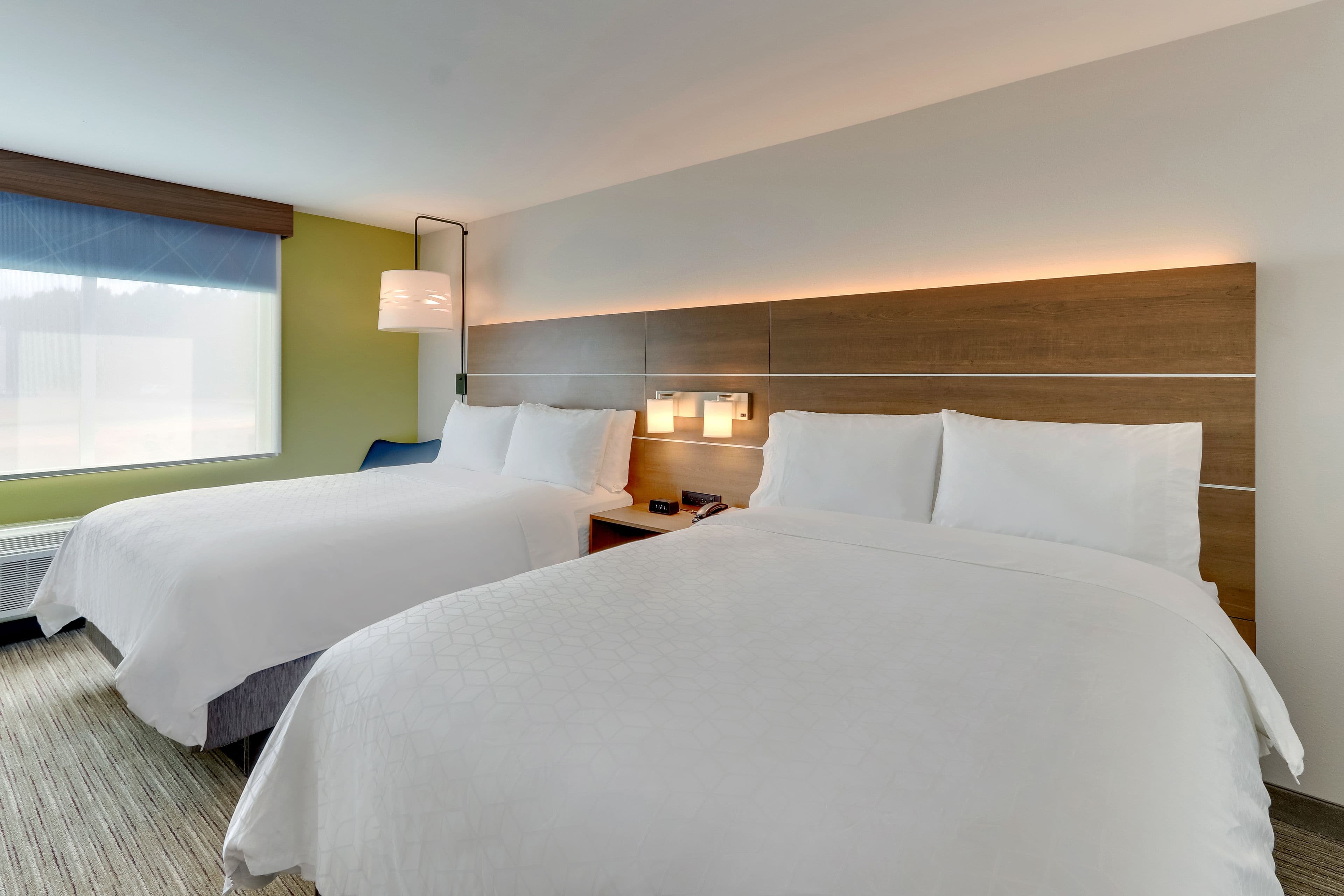 Holiday Inn Express & Suites Dawsonville — 44