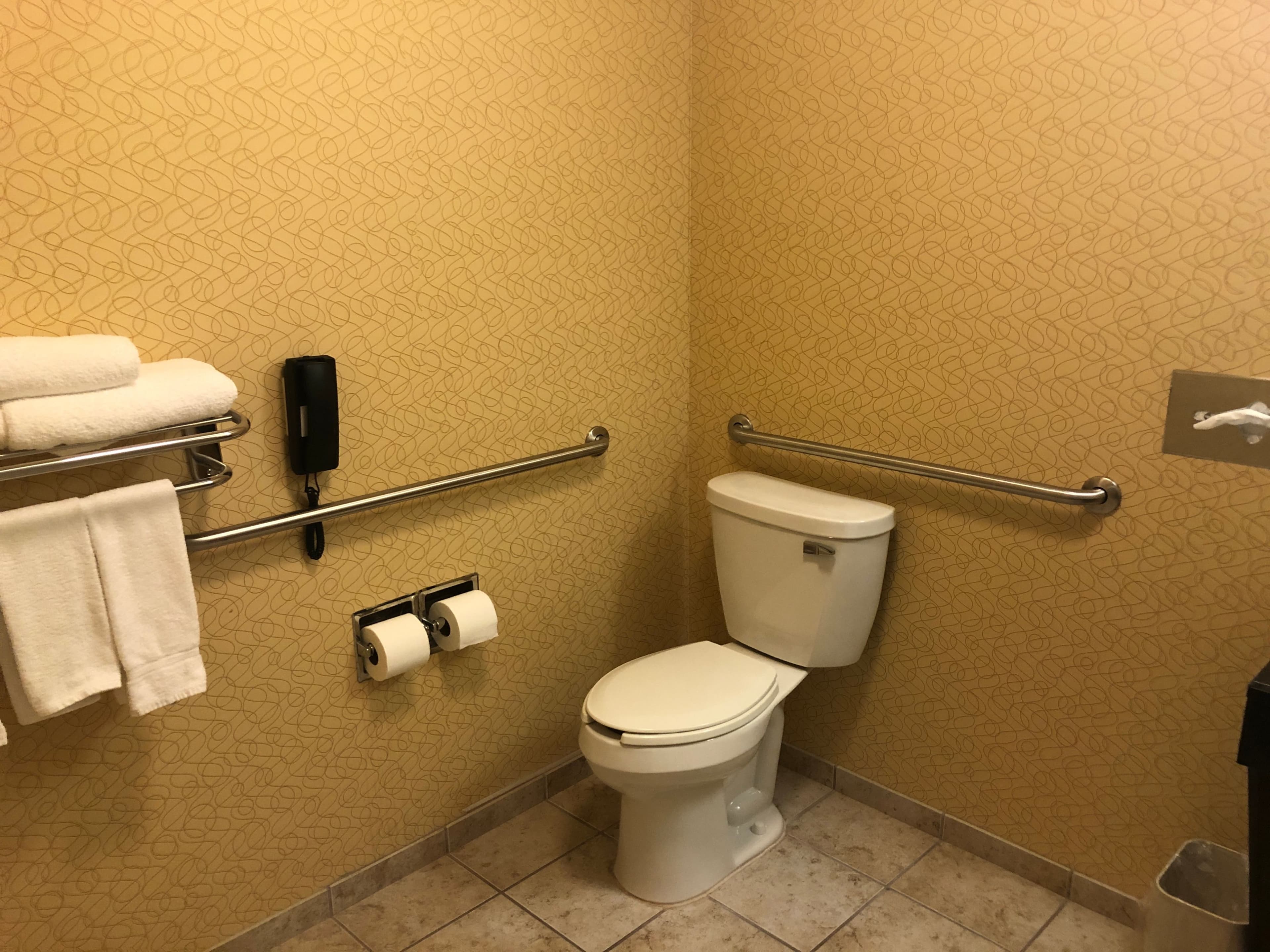 Holiday Inn Express & Suites Lansing-Dimondale — 10