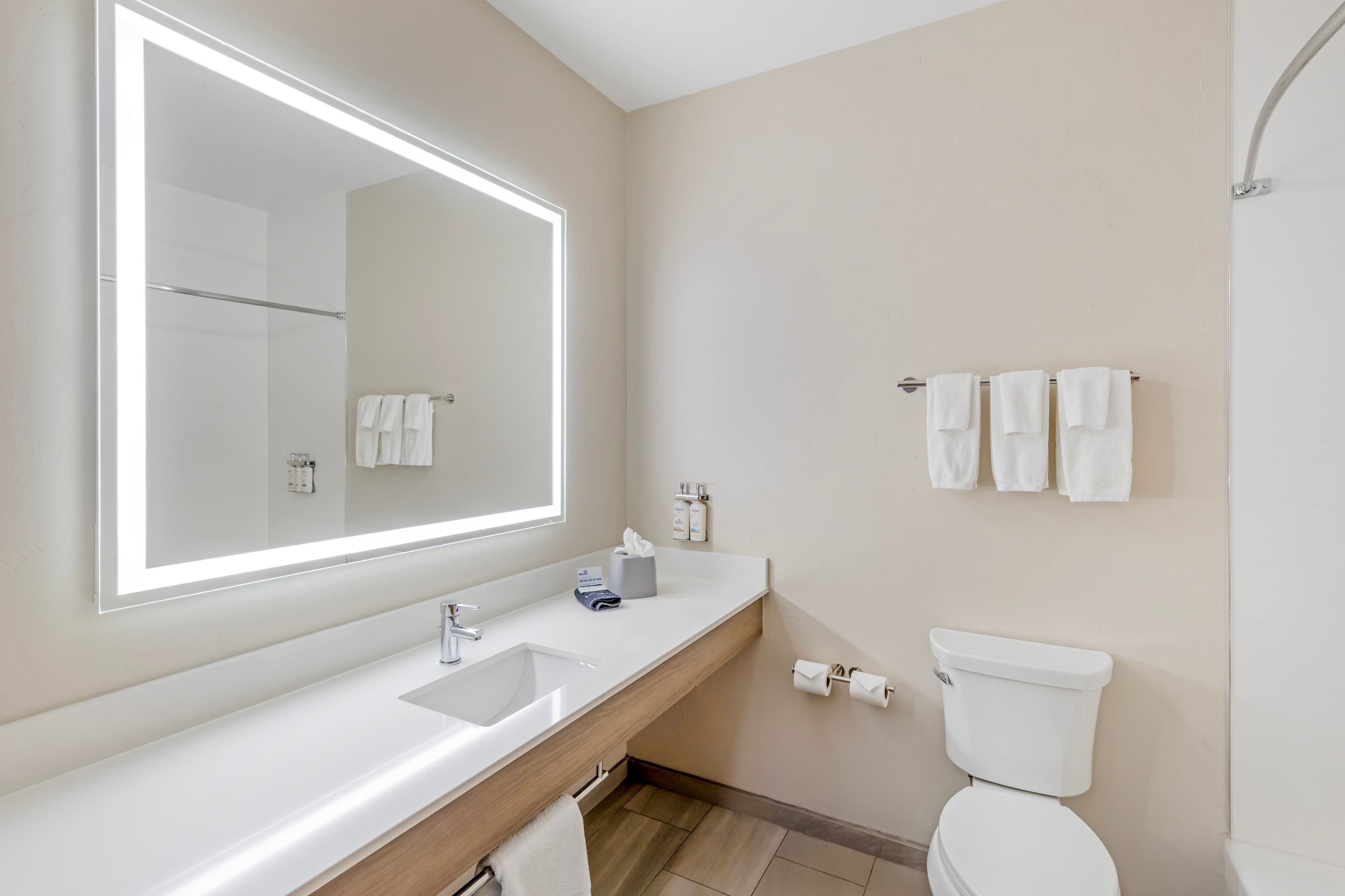 Holiday Inn Express & Suites Douglas — 39