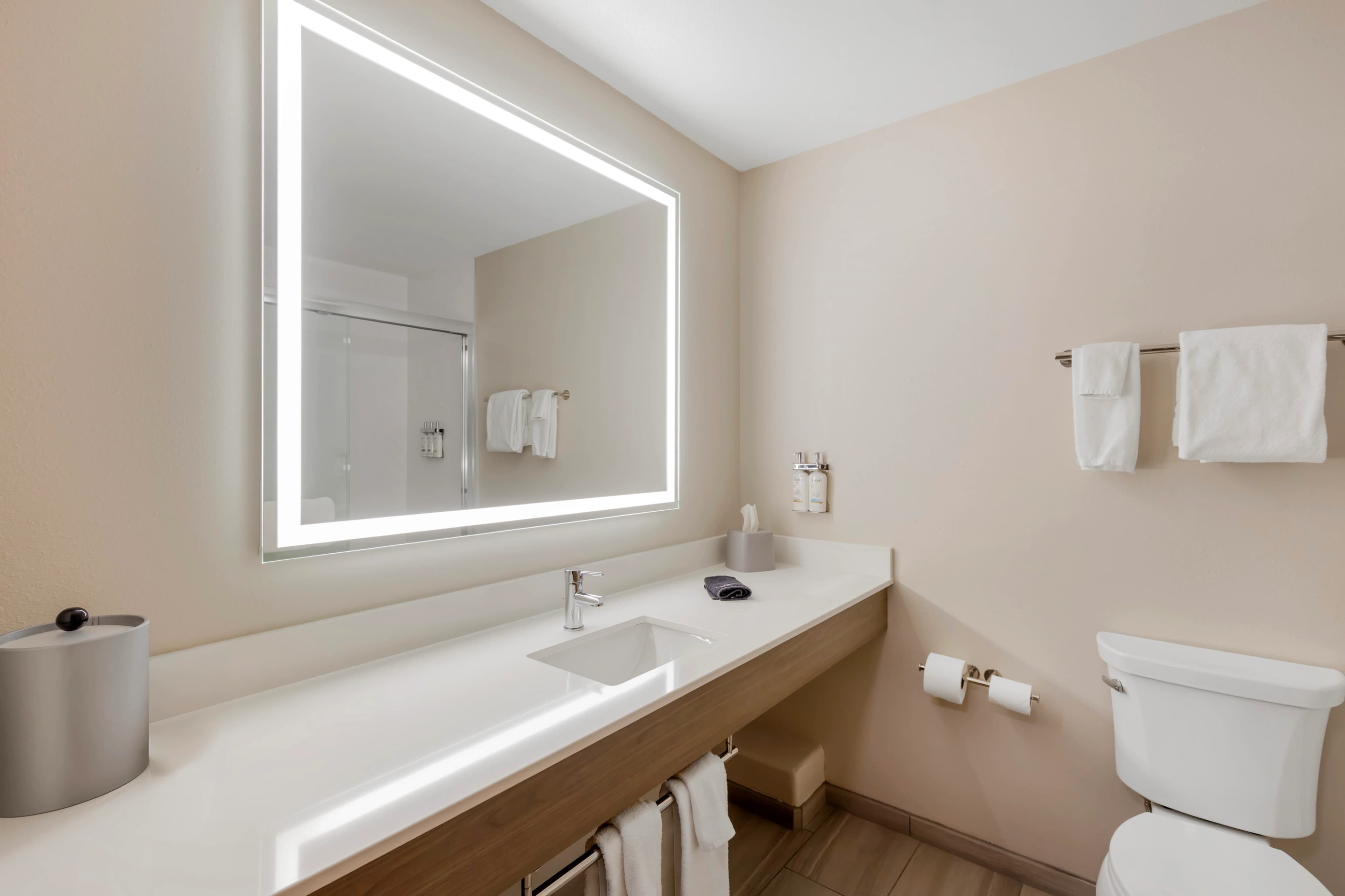 Holiday Inn Express & Suites Douglas — 12