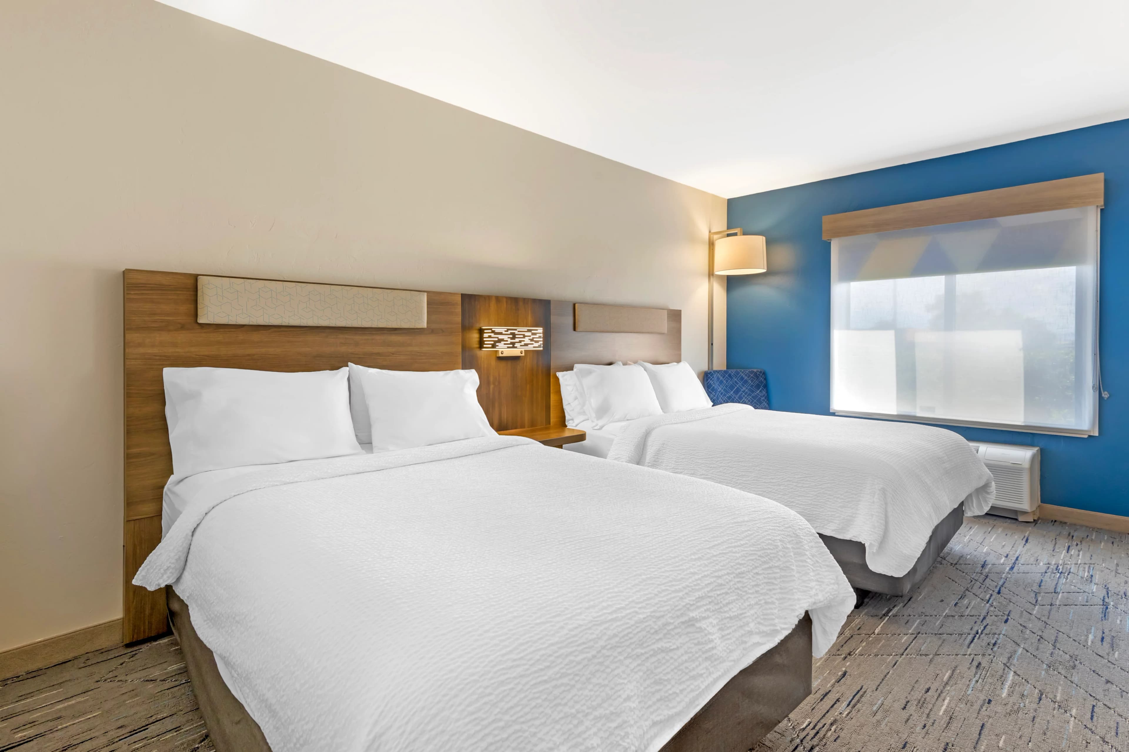 Holiday Inn Express & Suites Douglas — 43