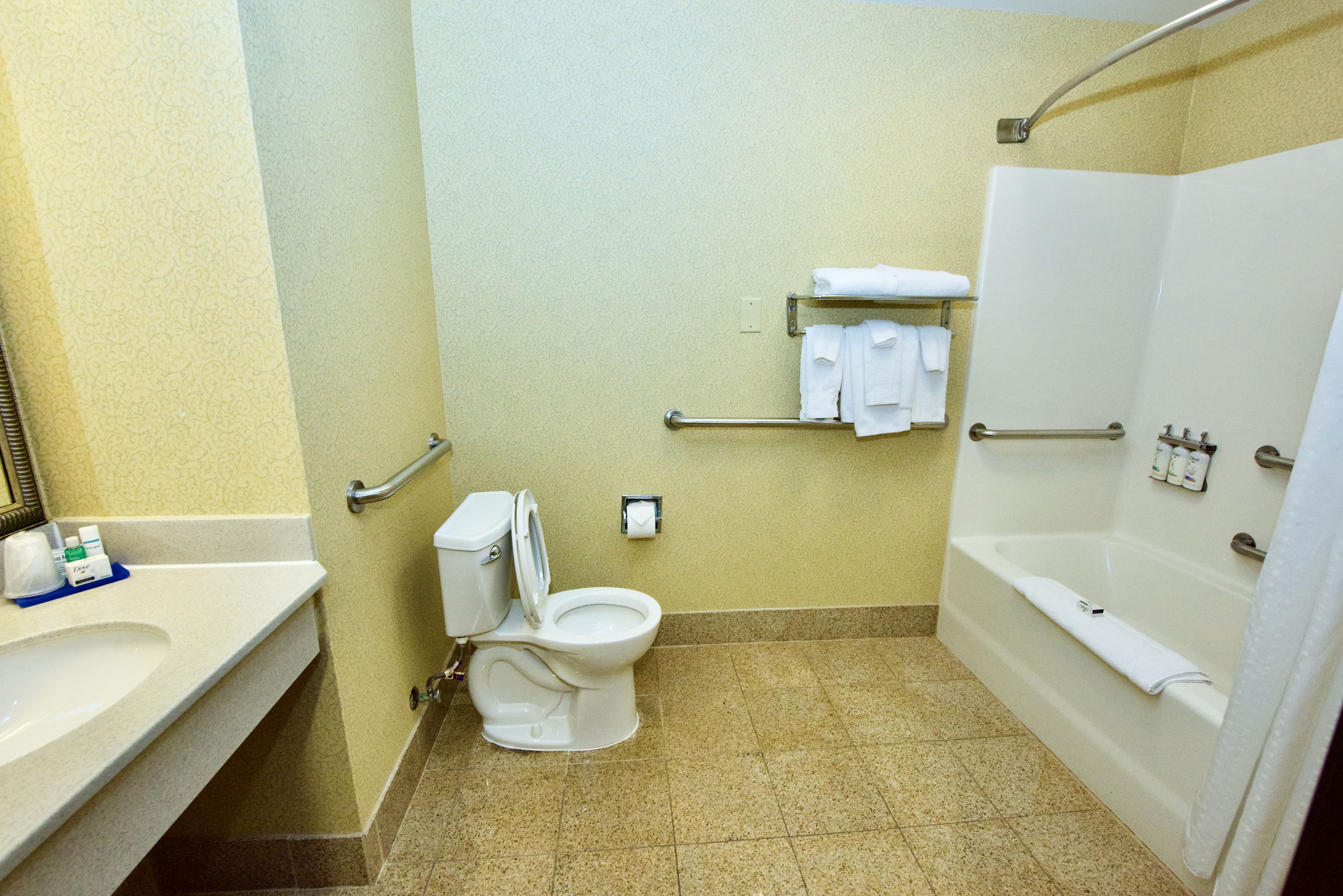 Holiday Inn Express & Suites St. Louis West - Fenton — 8