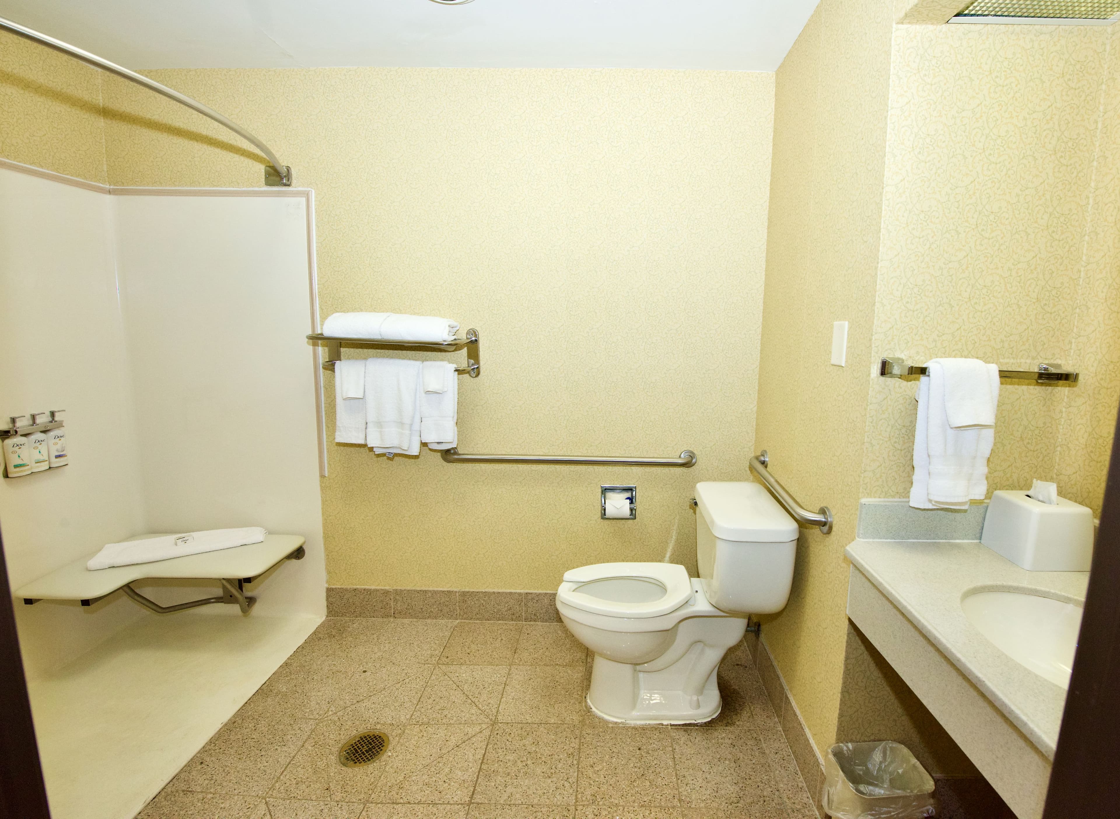 Holiday Inn Express & Suites St. Louis West - Fenton — 10