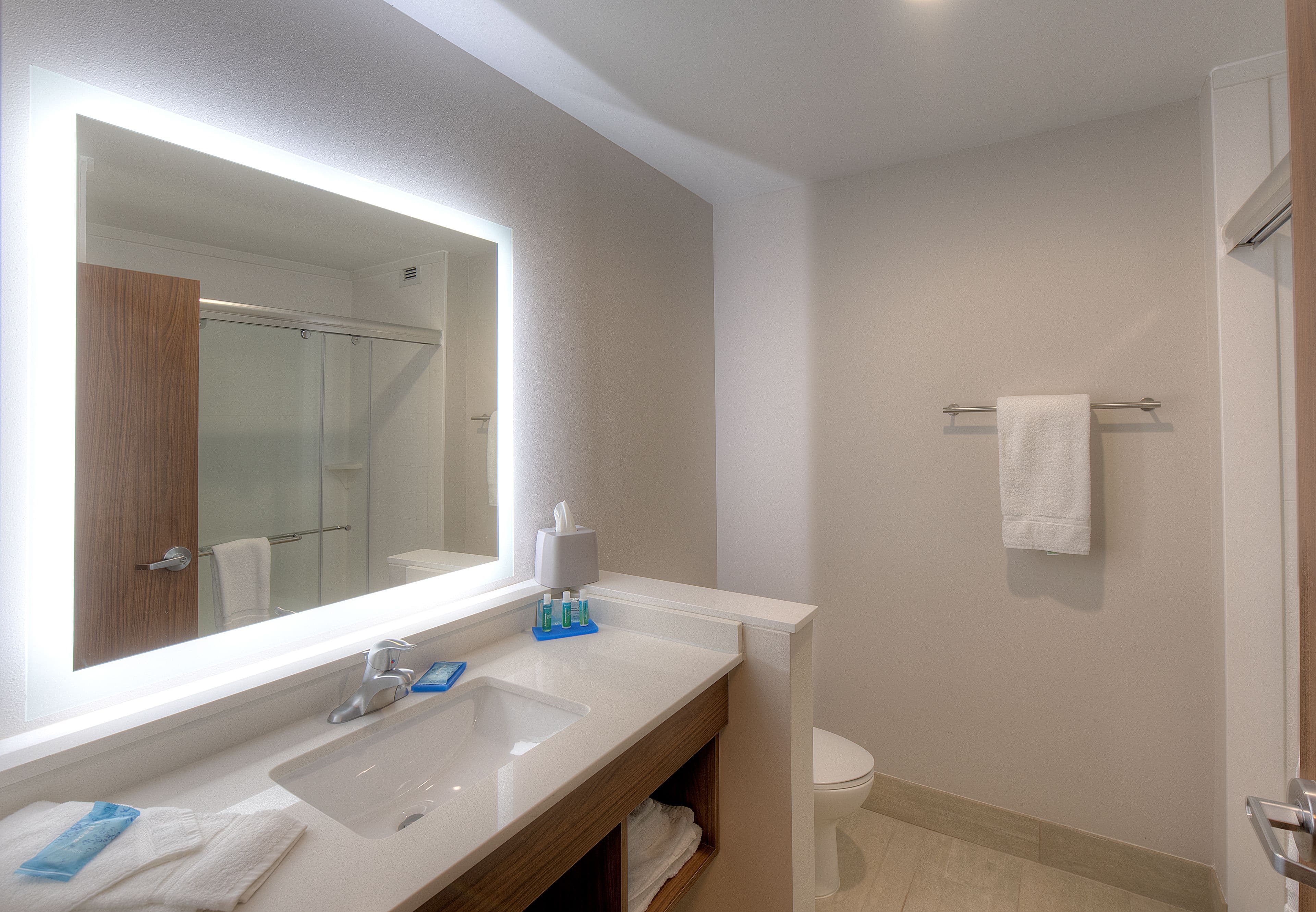 Holiday Inn Express & Suites Fort Mill - Image 3